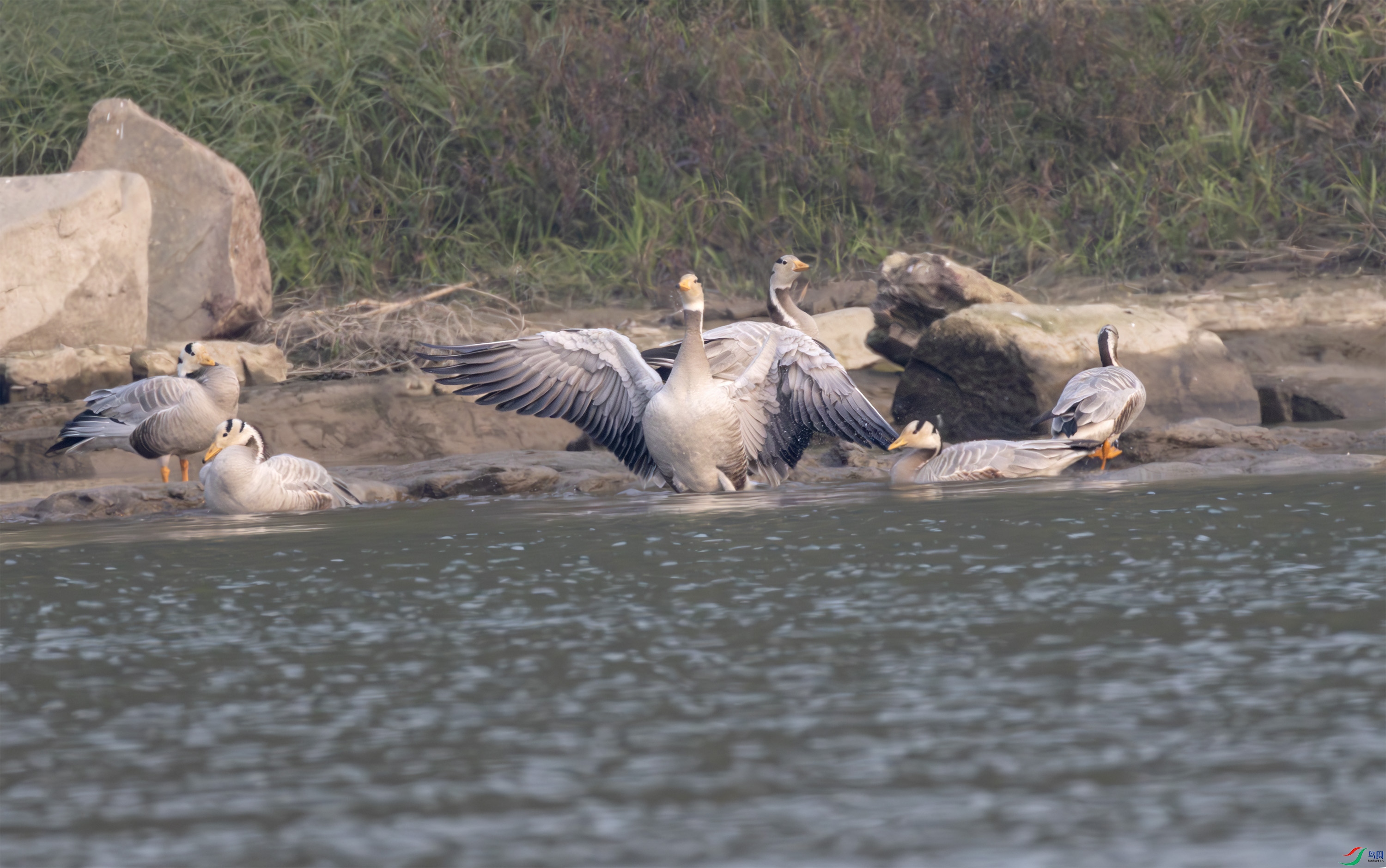 2I1A6376-����ǿ-NR ����.jpg