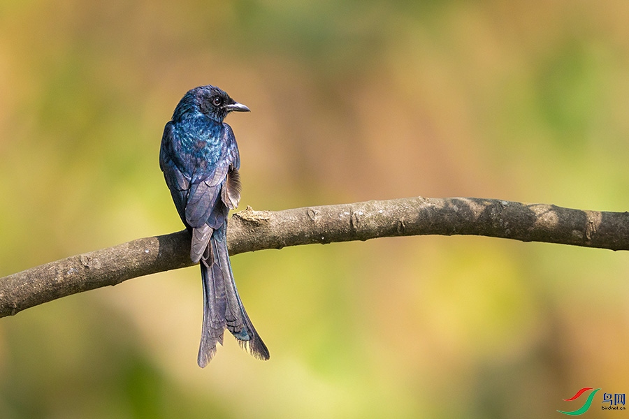 0R5A0744 ����.jpg