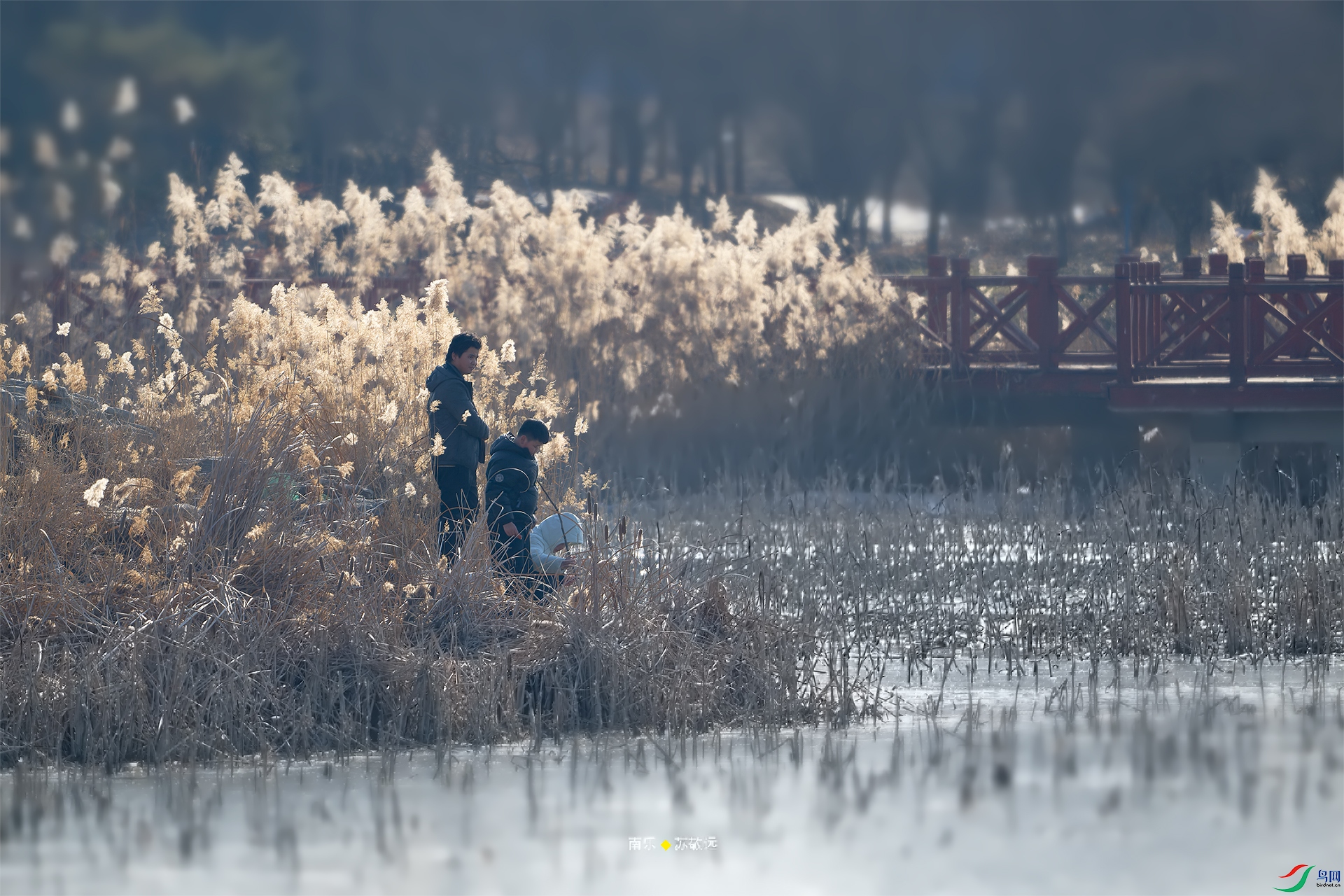 _DSC2871-NEF_DxOС.jpg