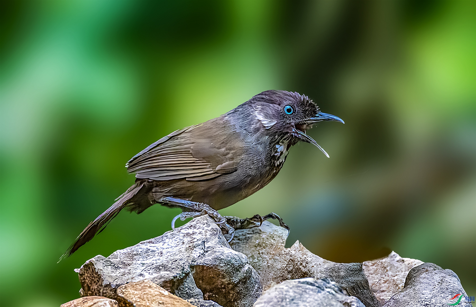 Ū������