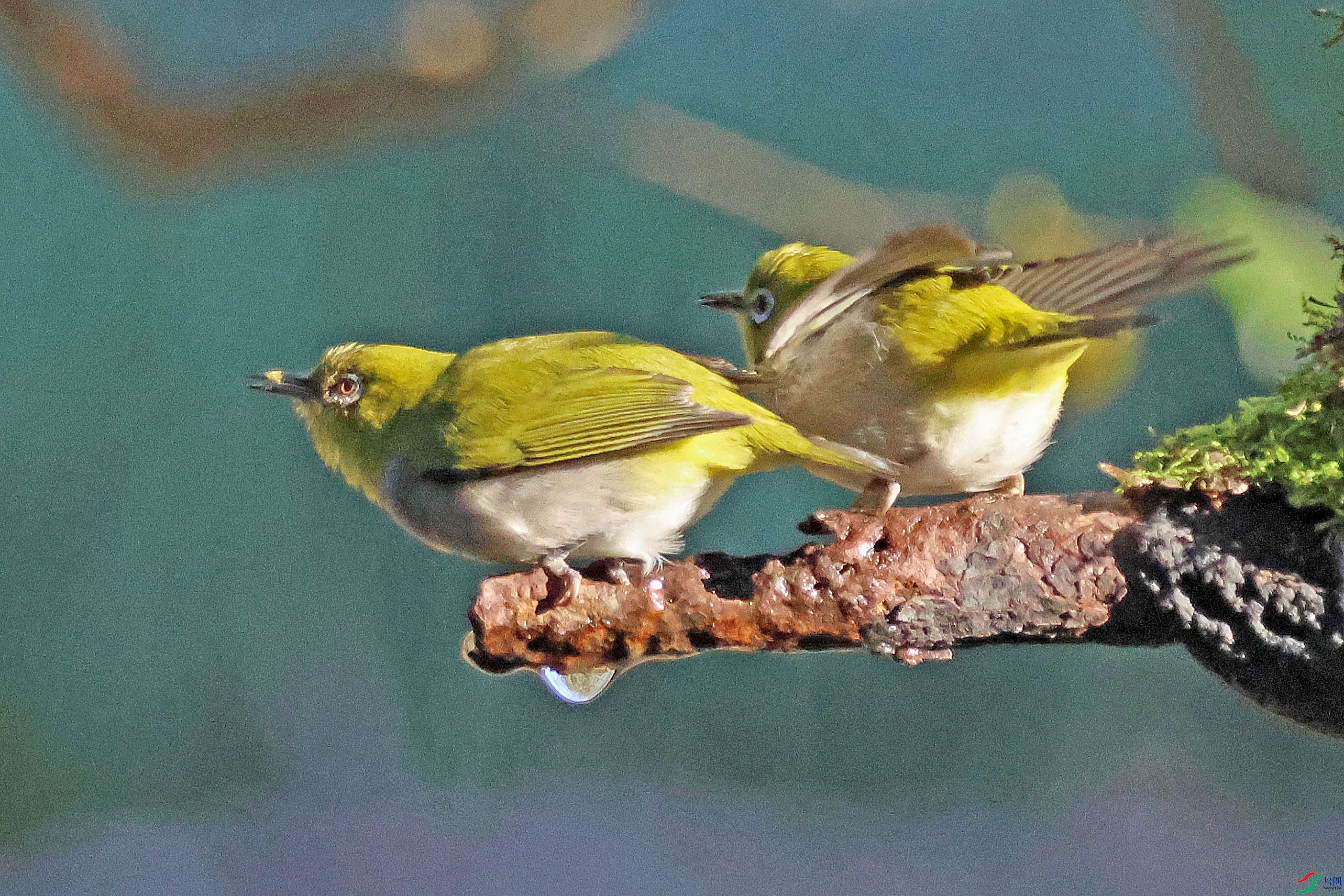 2G9A3735.JPG