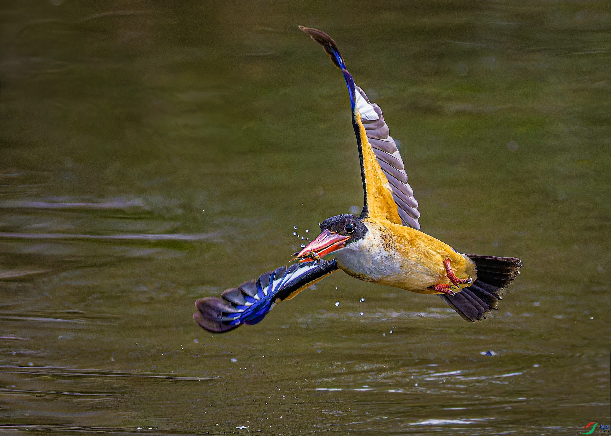 _97A3263-CR3 copy.jpg