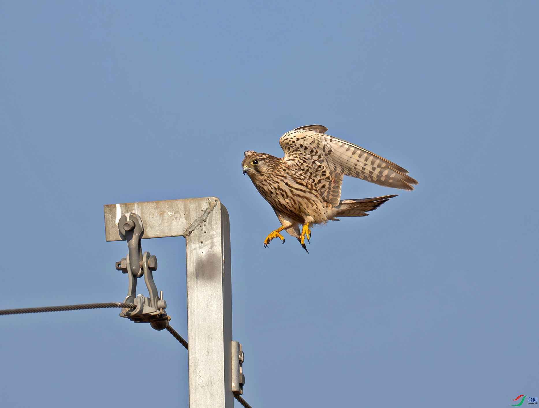 DSC_8479d.jpg