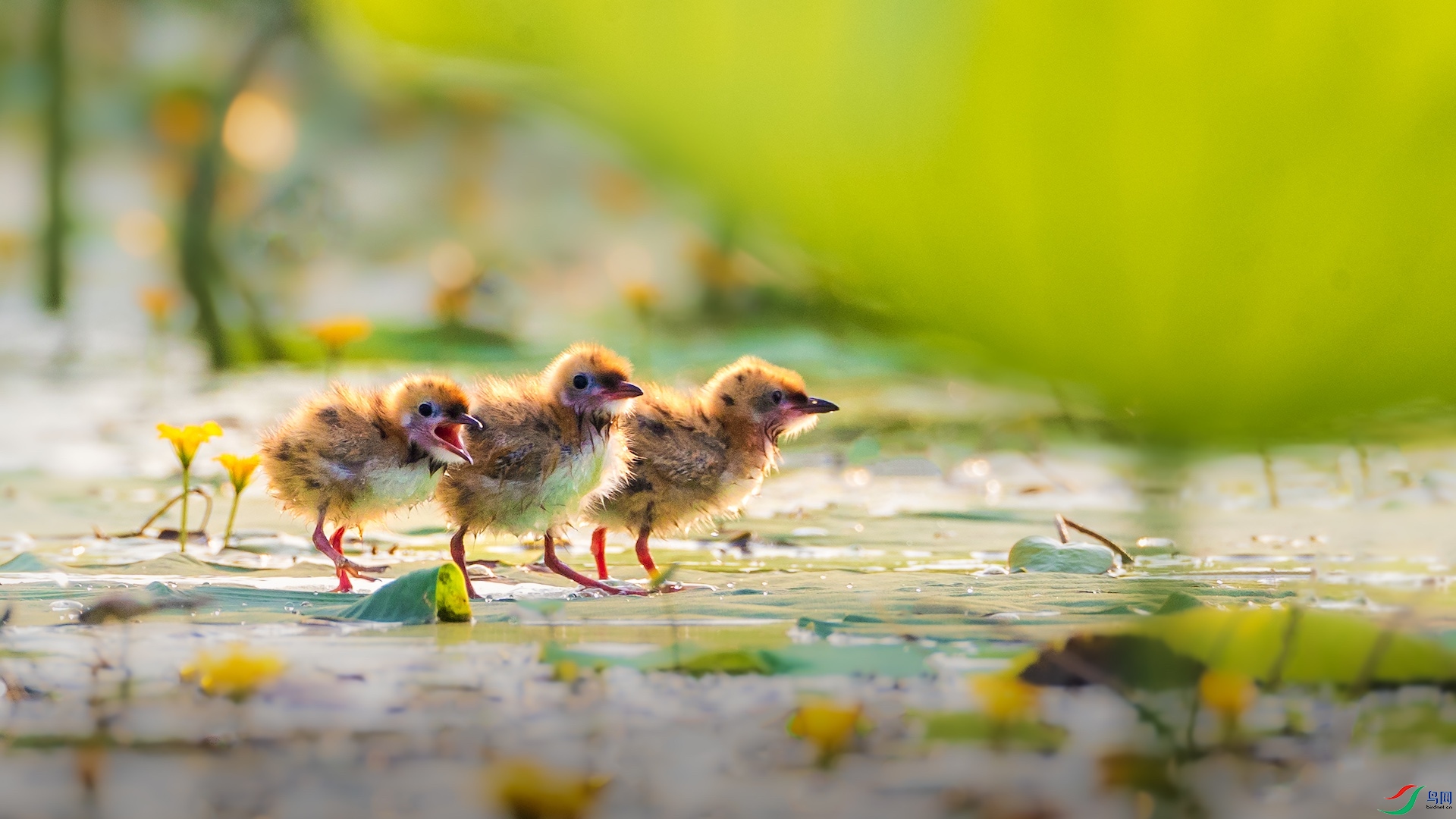 1_M1I8043 ����.jpeg