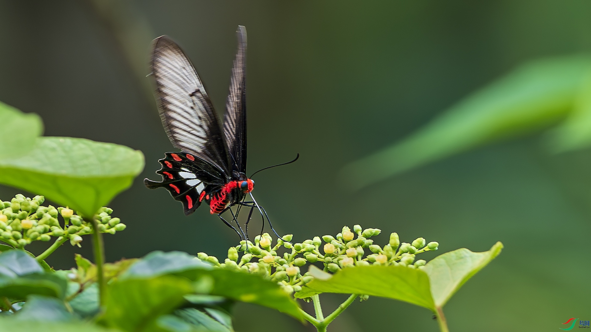 1_XXL2972-����ǿ-NR ����.jpeg