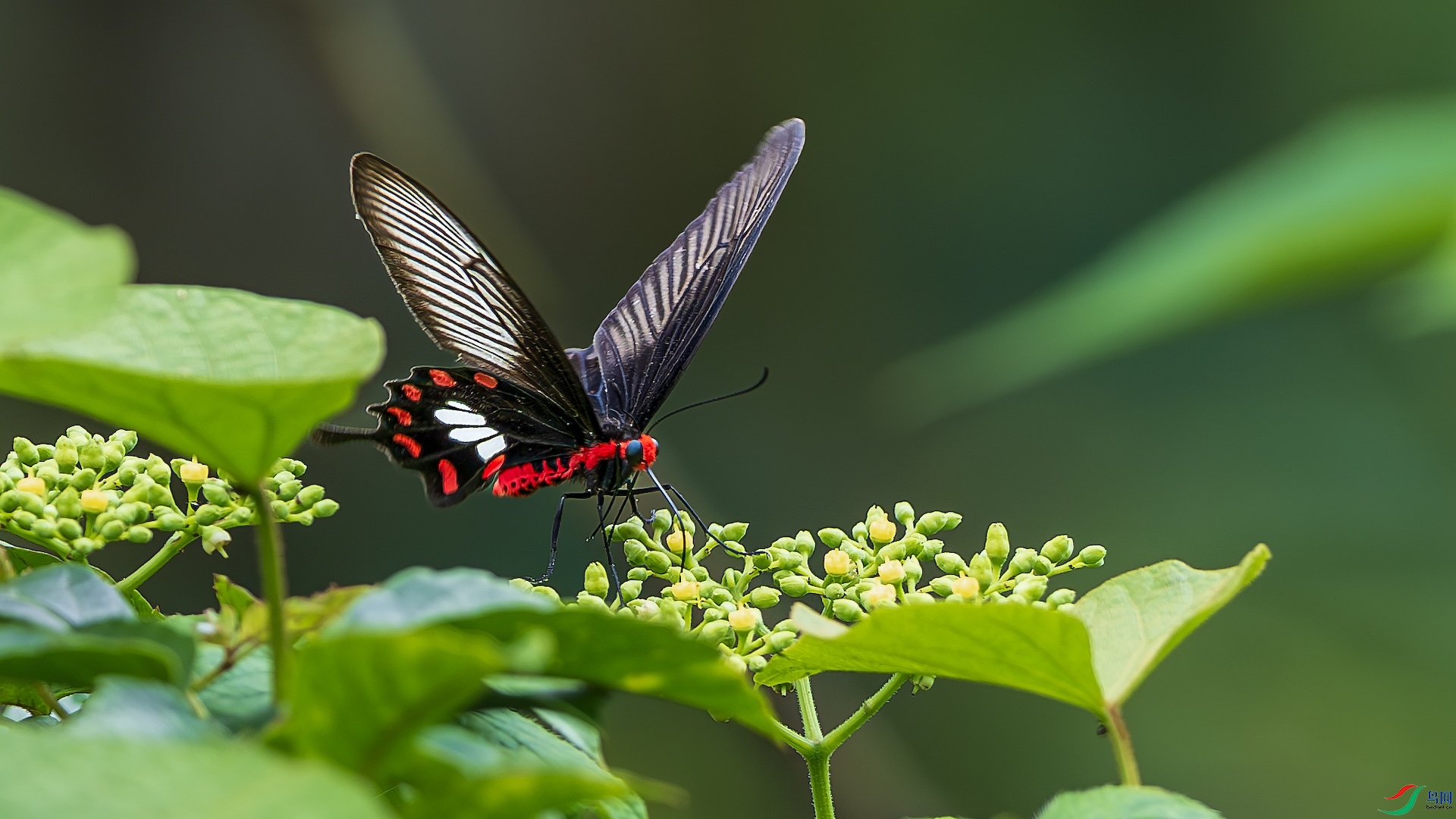 1_XXL2981-����ǿ-NR ����.jpeg