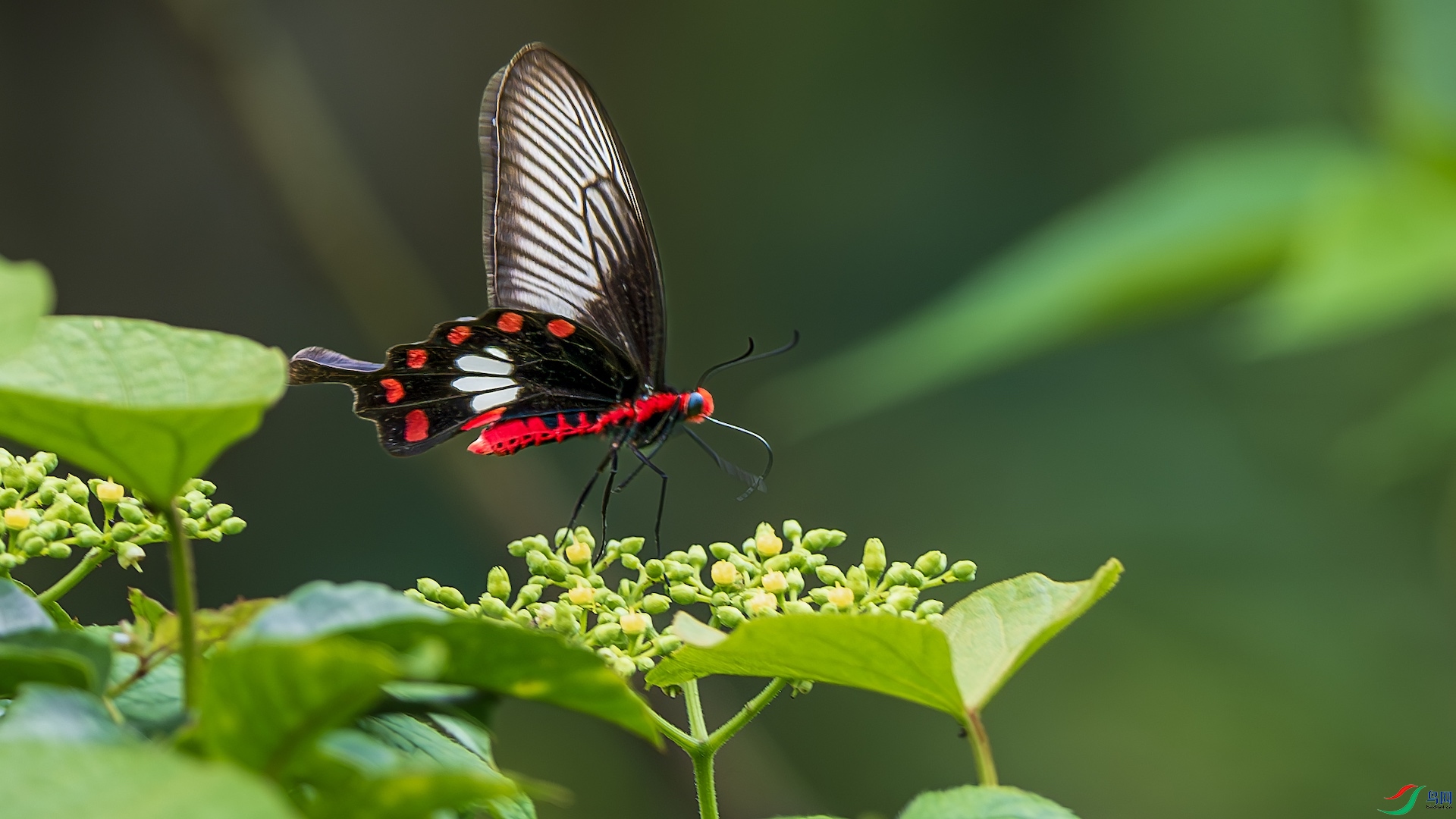 1_XXL2991-����ǿ-NR ����.jpeg