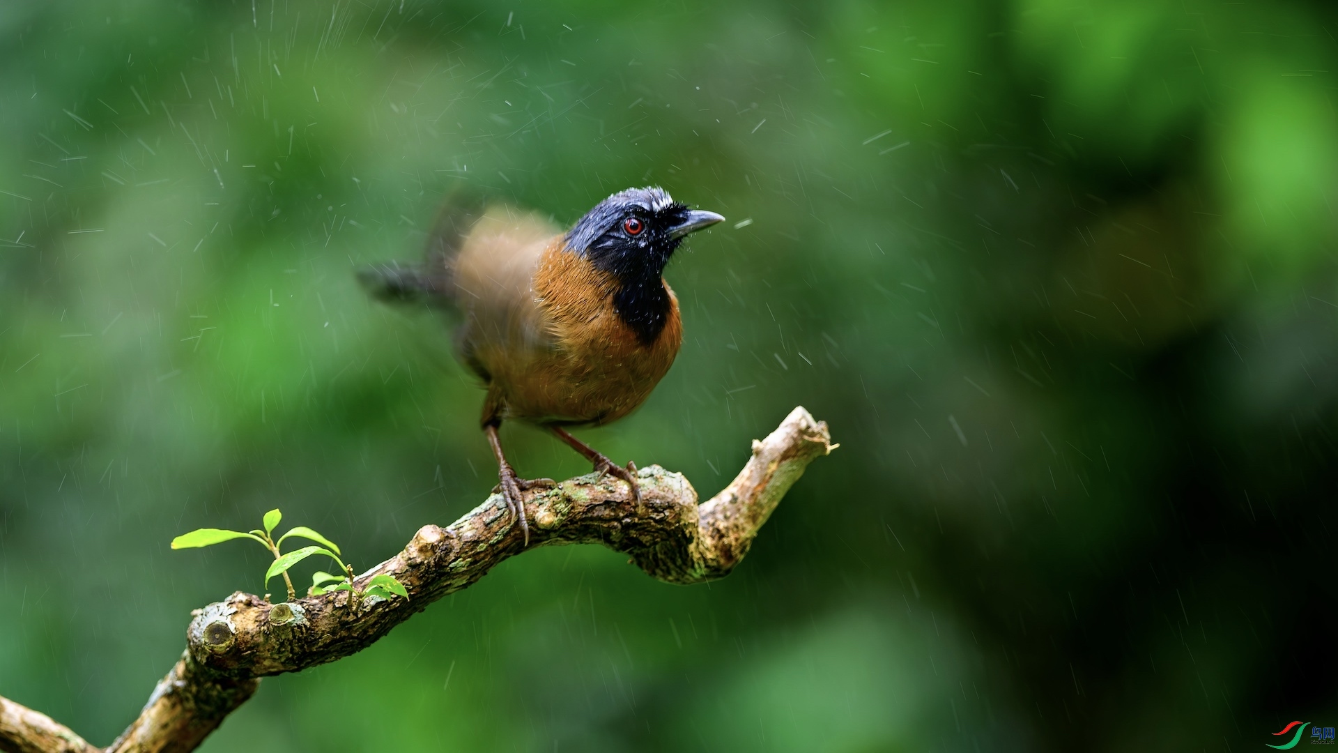 2_XXL6737-����ǿ-NR ����.jpeg