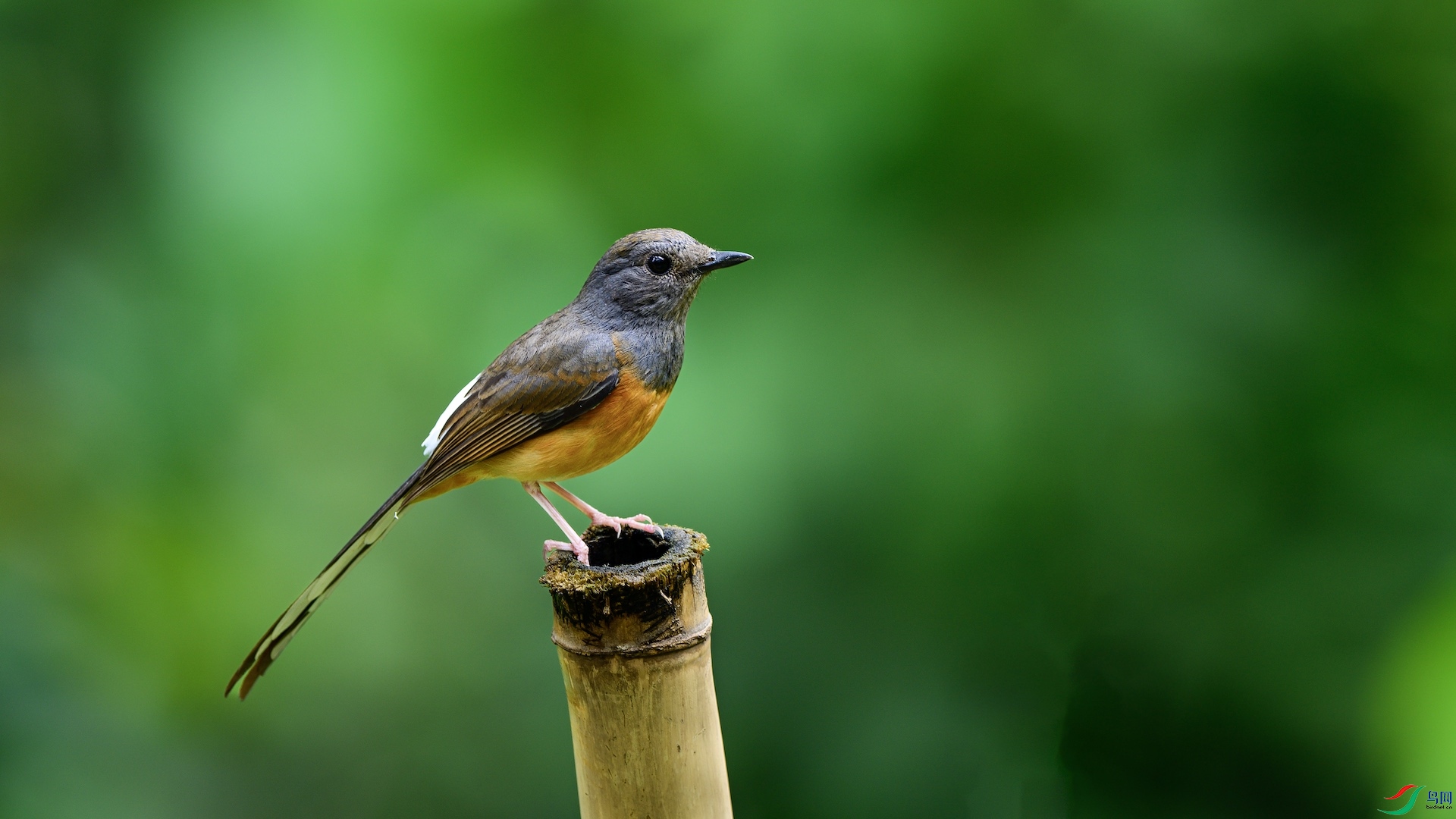 2_XXL6826 ����.jpeg