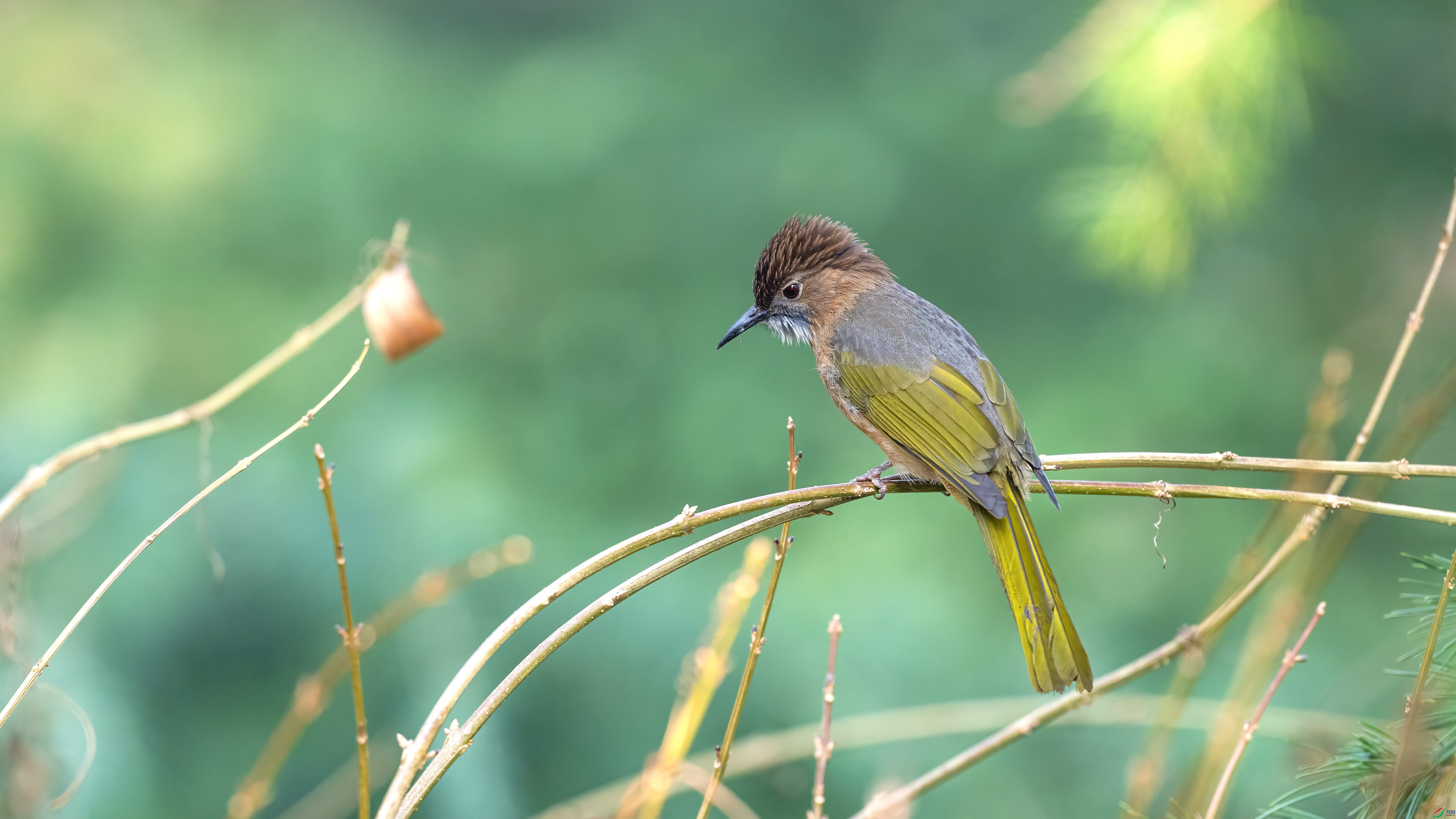 DSC_7485.jpg