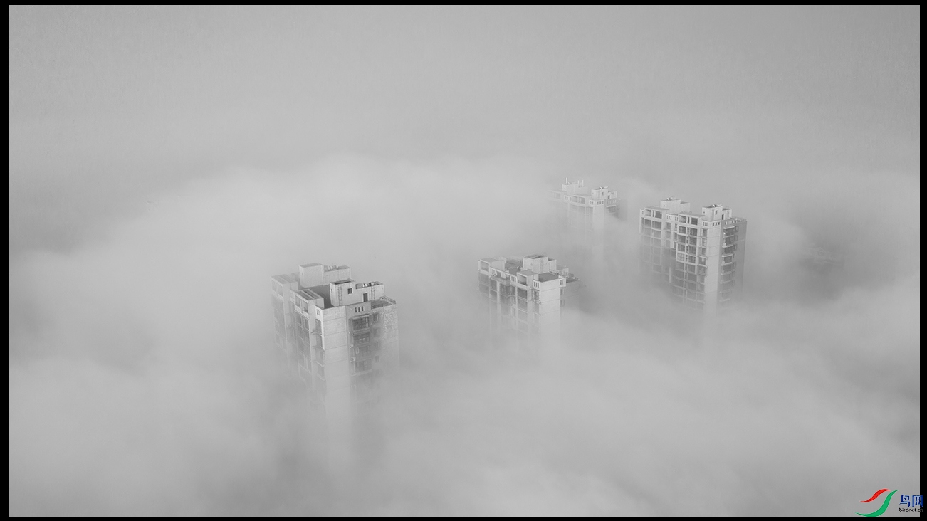 DJI_0094~1.jpg