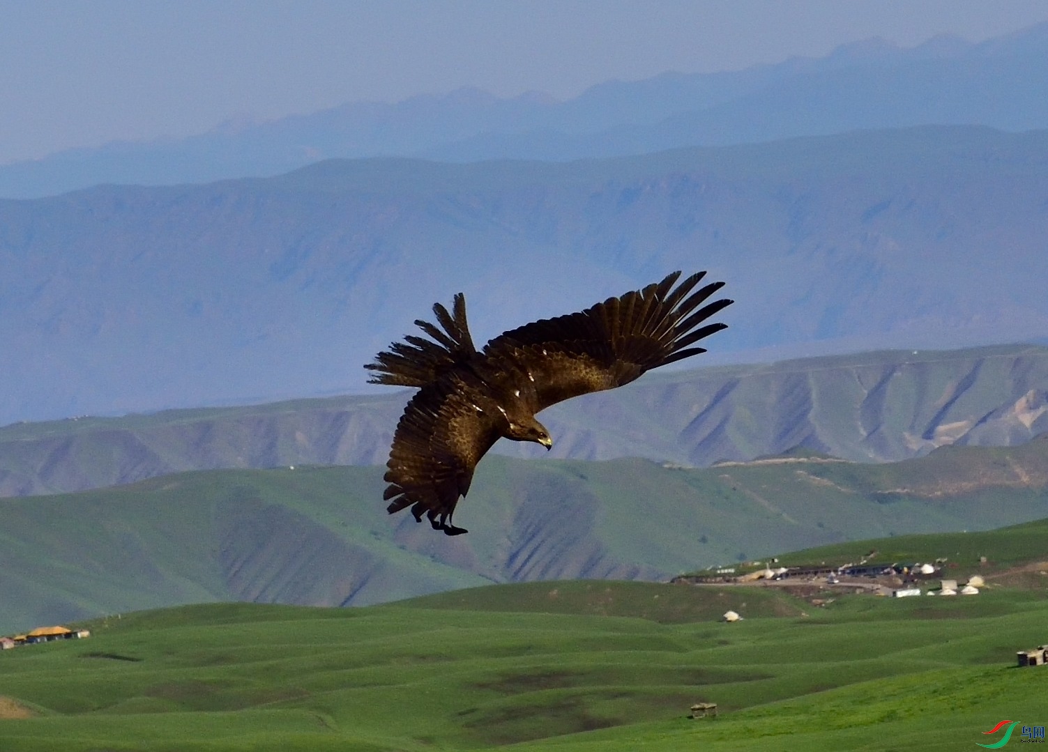 _DSC3582-2023-6-27.JPG