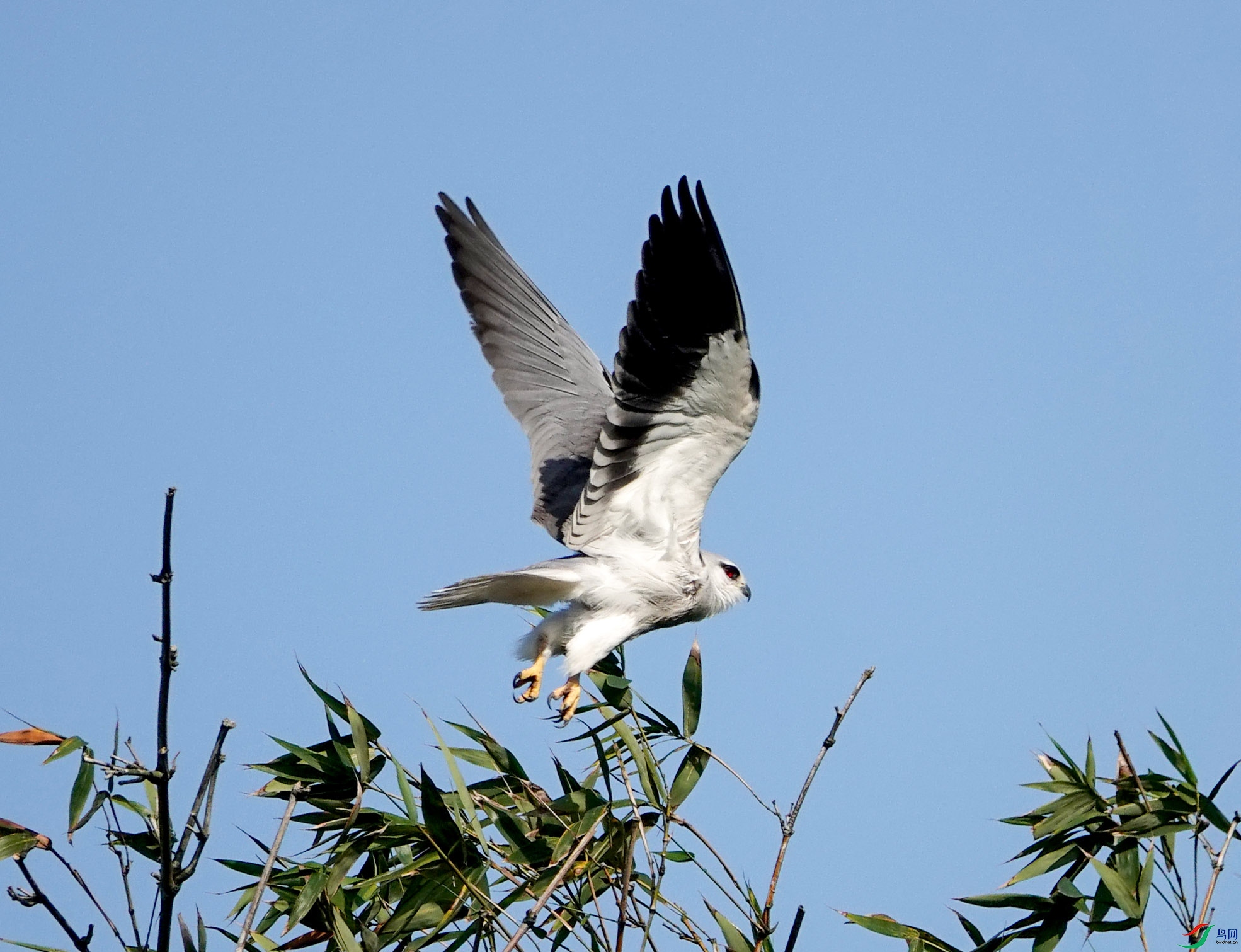 DSC09099.JPG