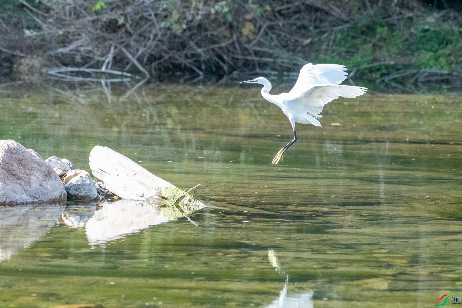 DSC_3014.jpg