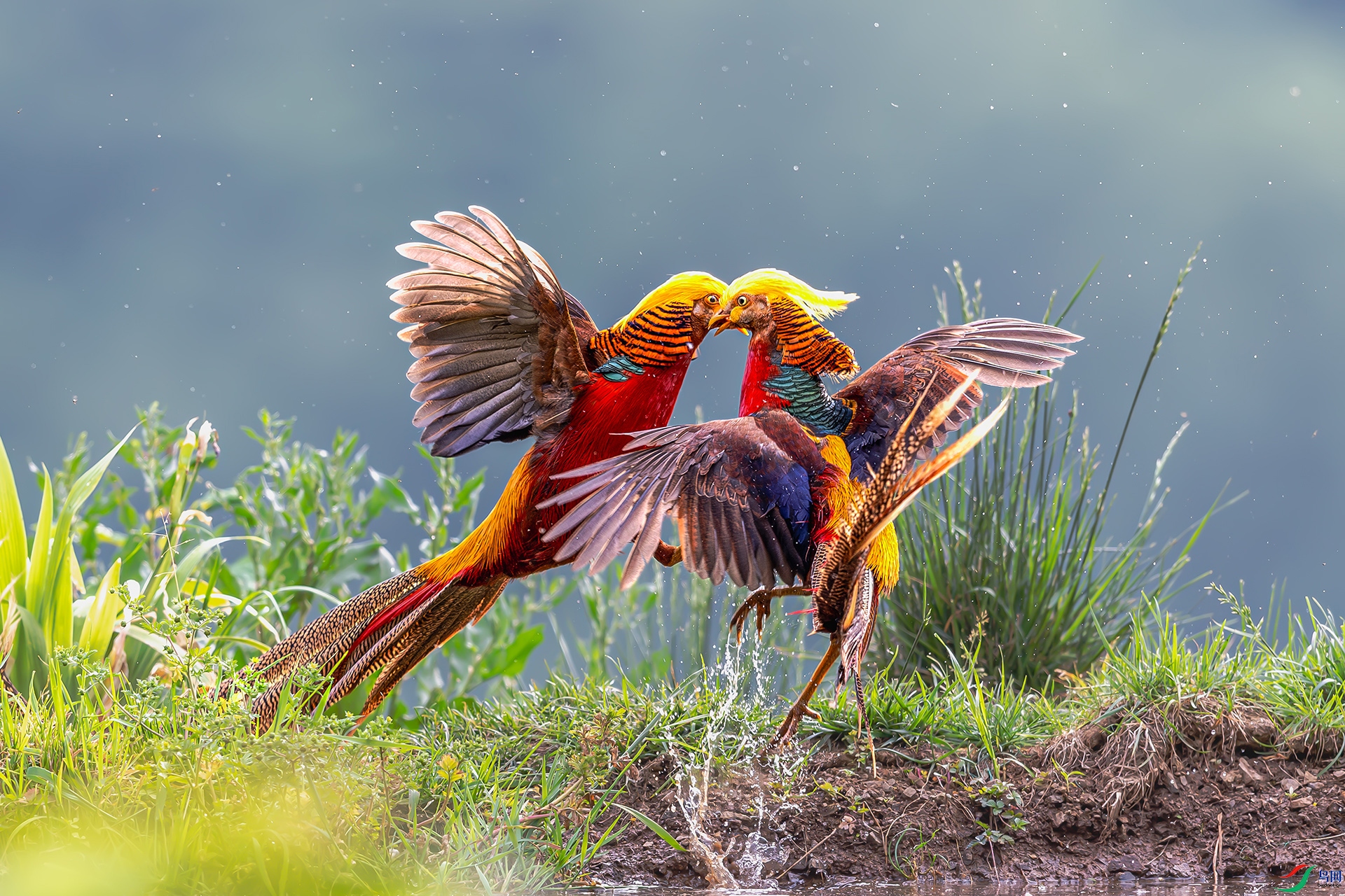 20250120�Զ� ����.jpg