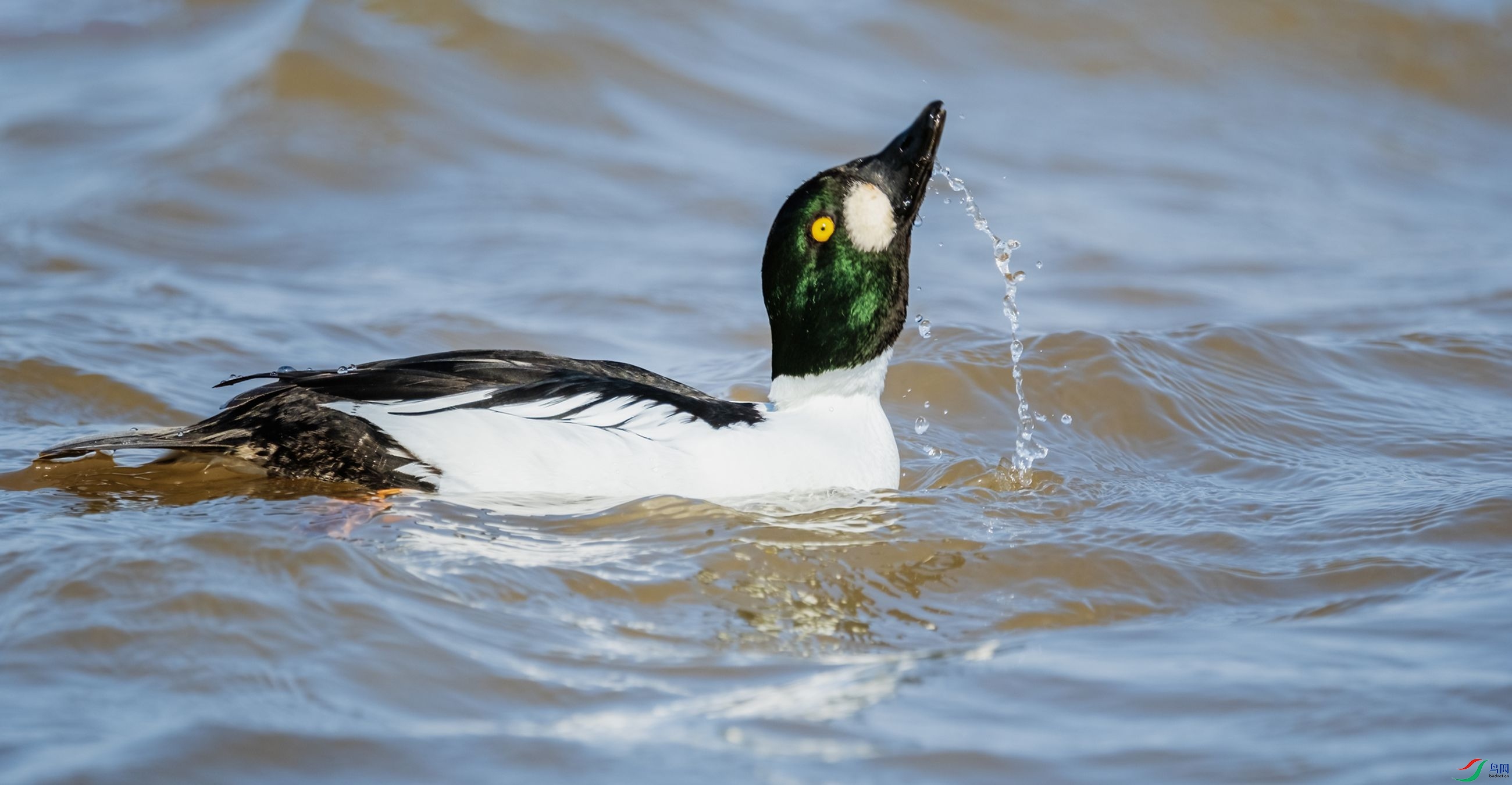 ��Ȼ֮���D�D�D�DȵѼ