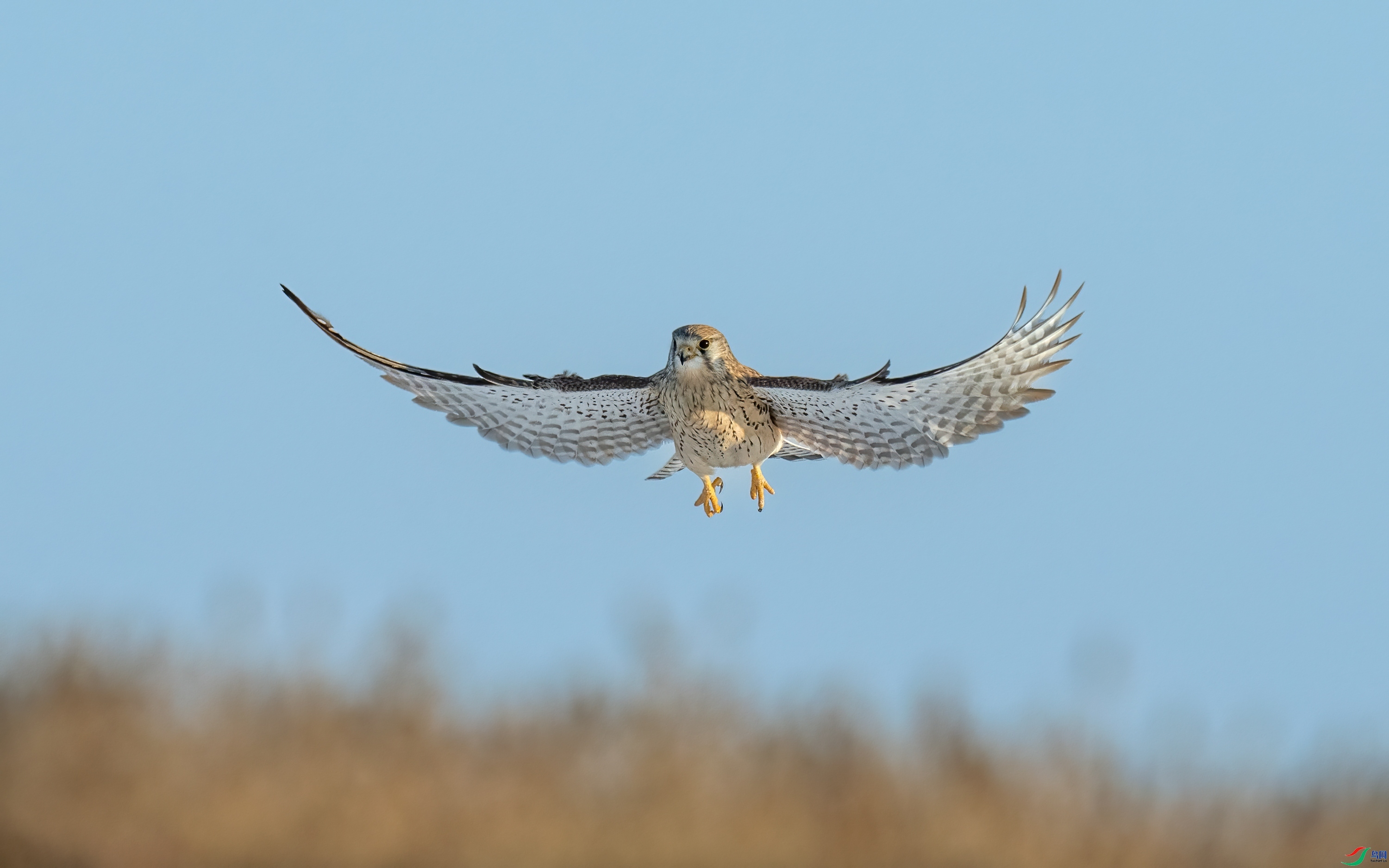 ����  ���� ���� ��һ.jpg