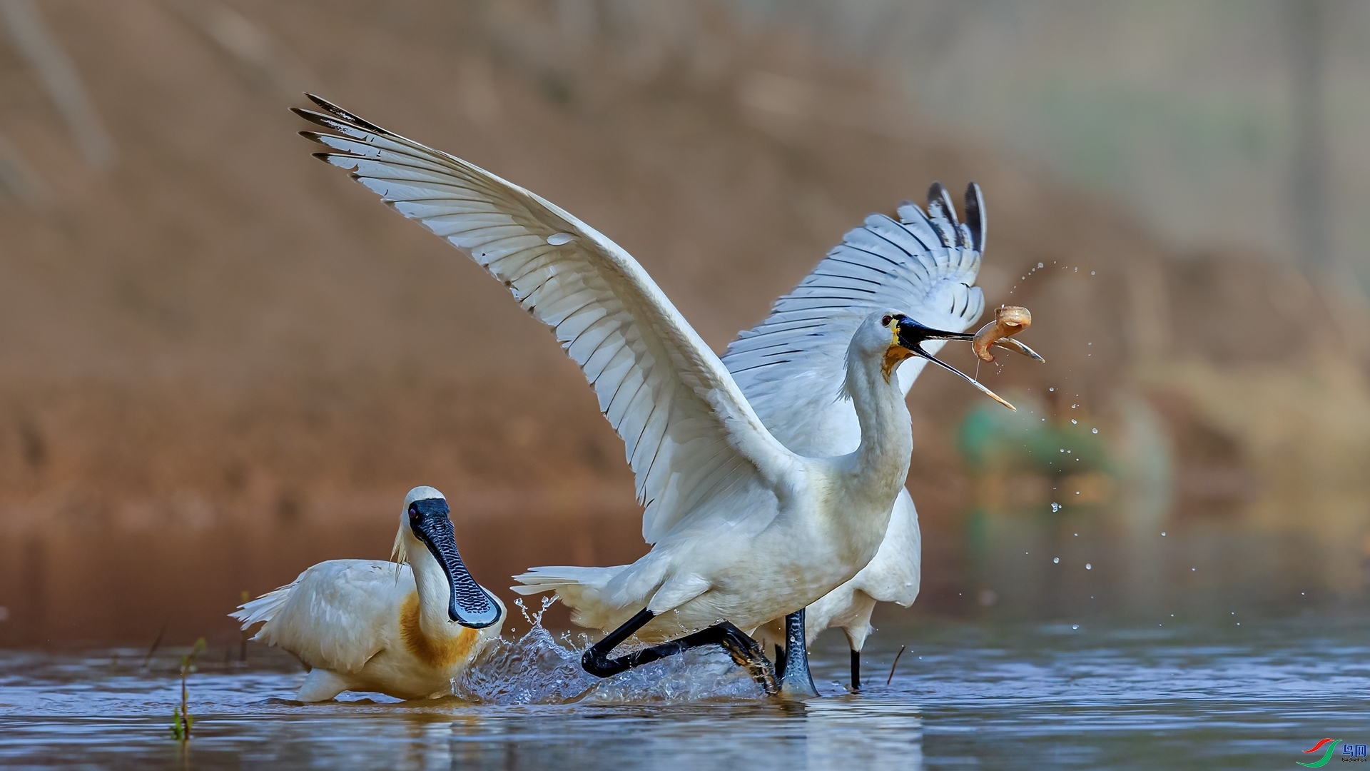 �����ȵ� ���� ��һ.jpg