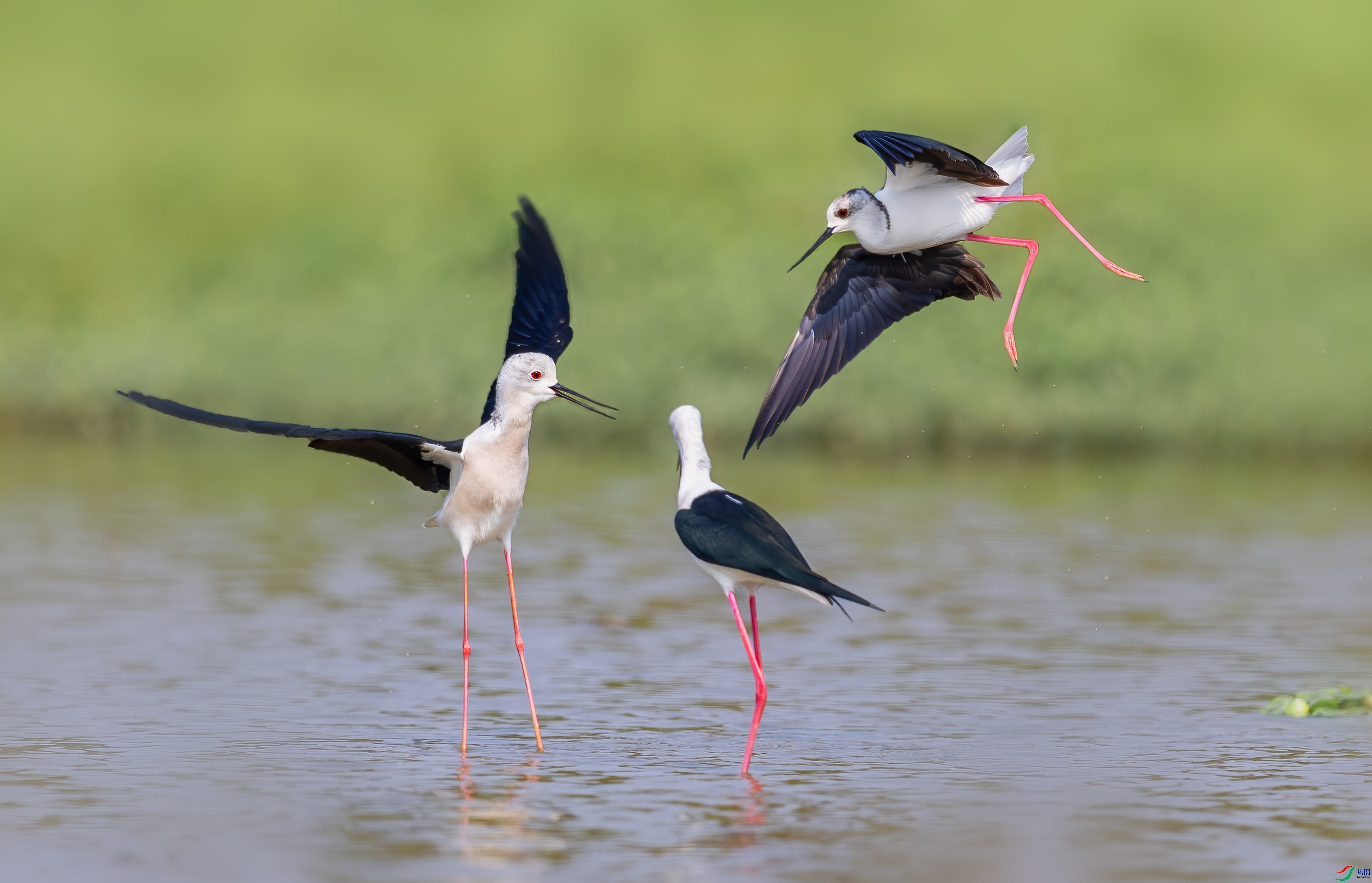 ��ս  ���� �ܸ� ��һ.jpg