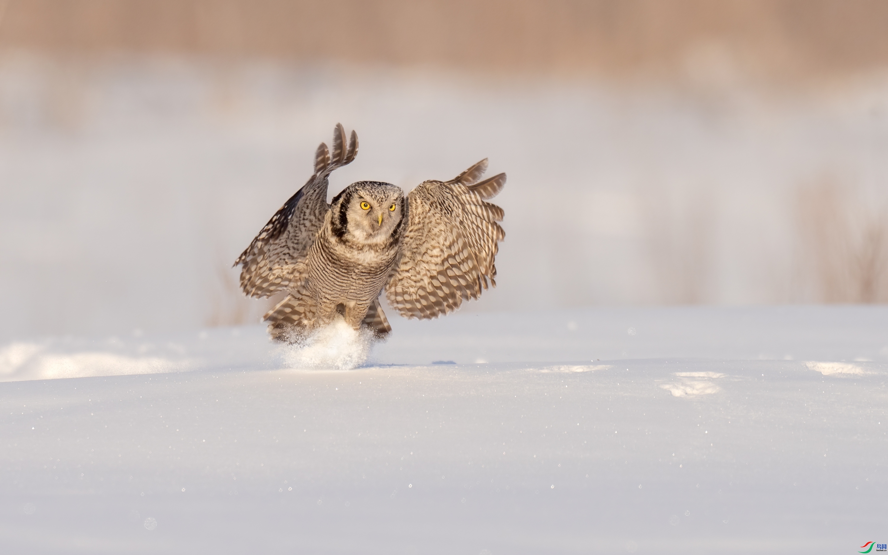 ���^ ���� ���� �ܶ�.jpg