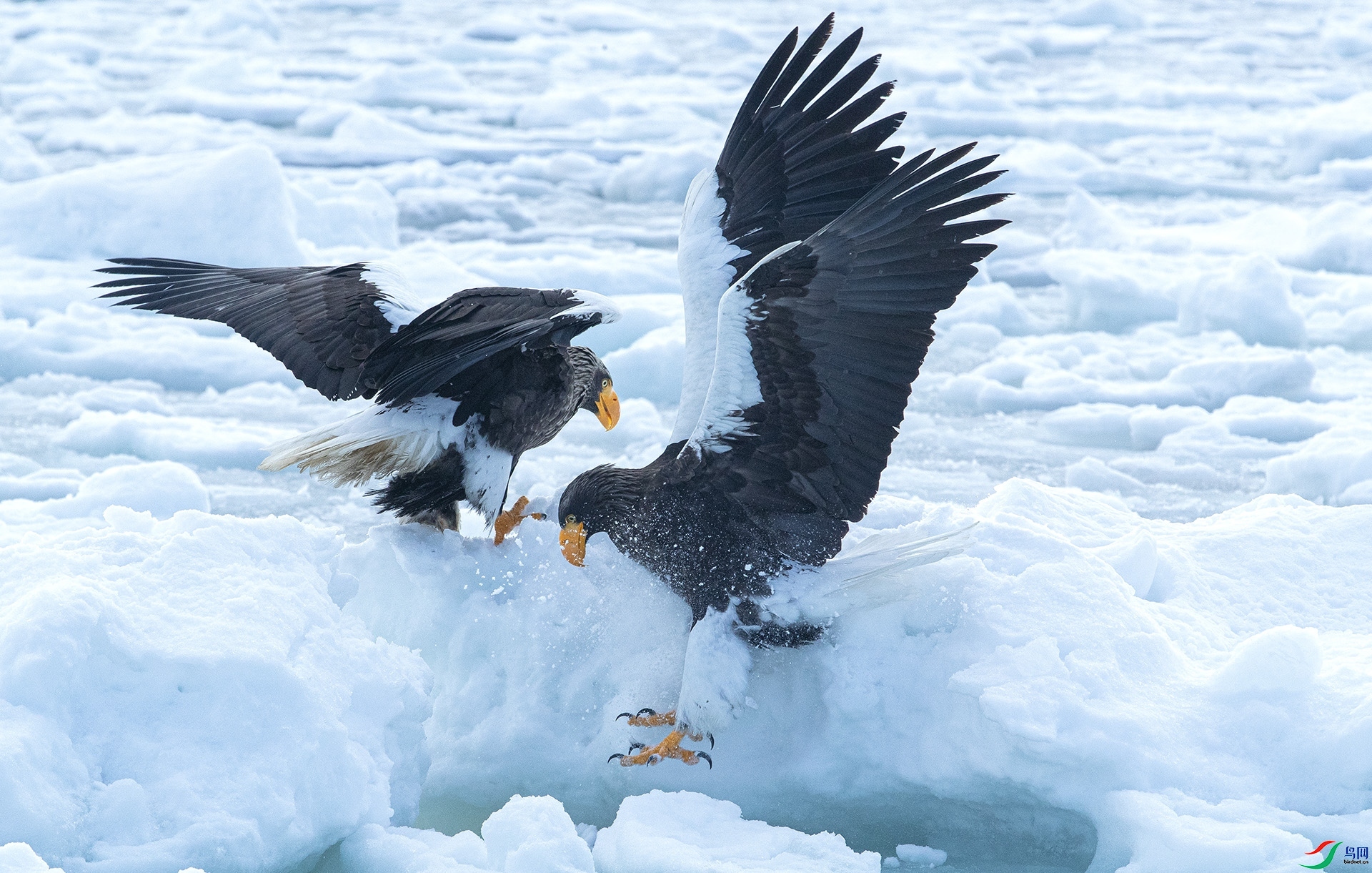 ʧ��  ���� �羰�� �ܶ�.jpg