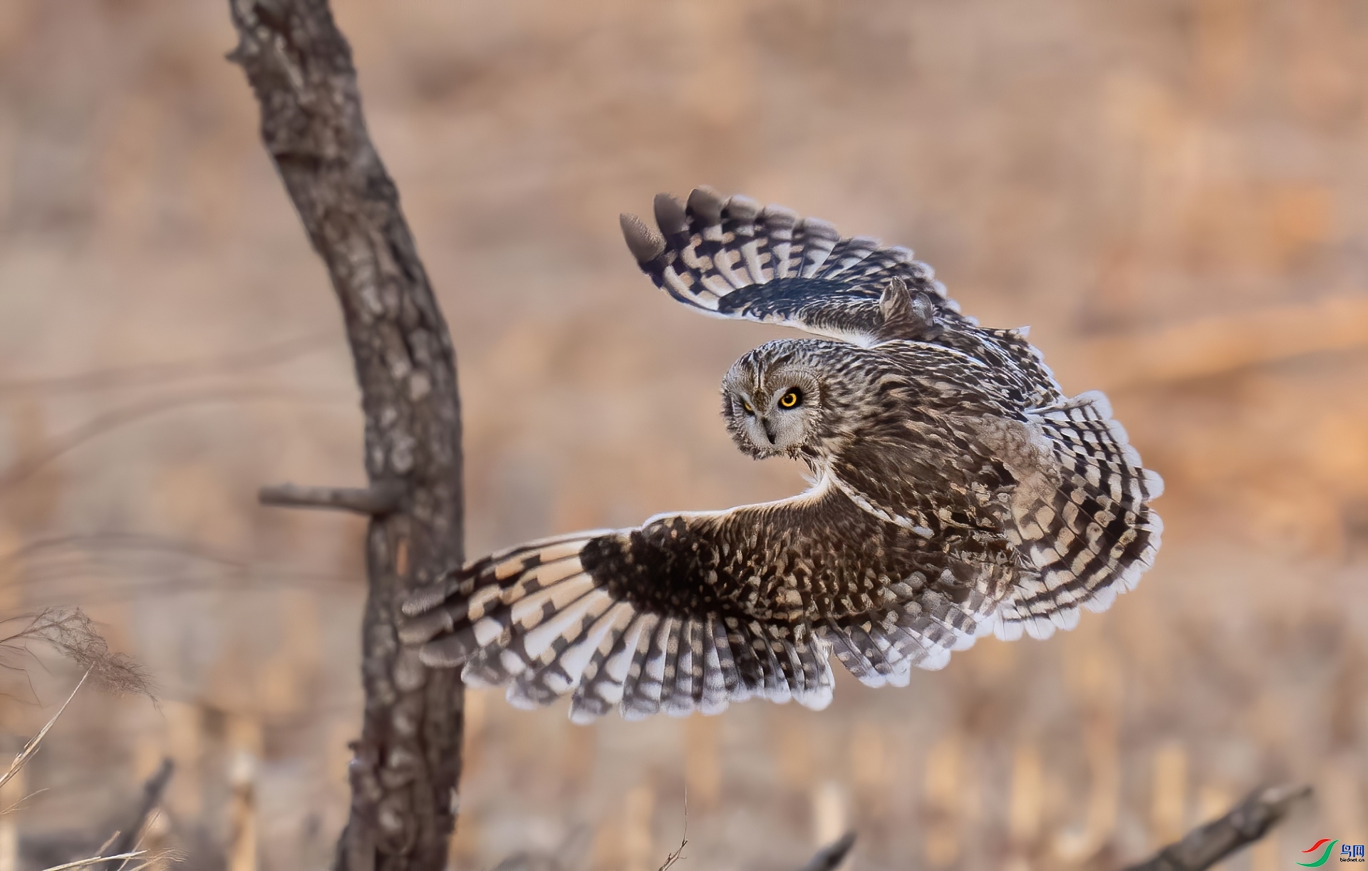 �̶��^  ���� ����.jpg