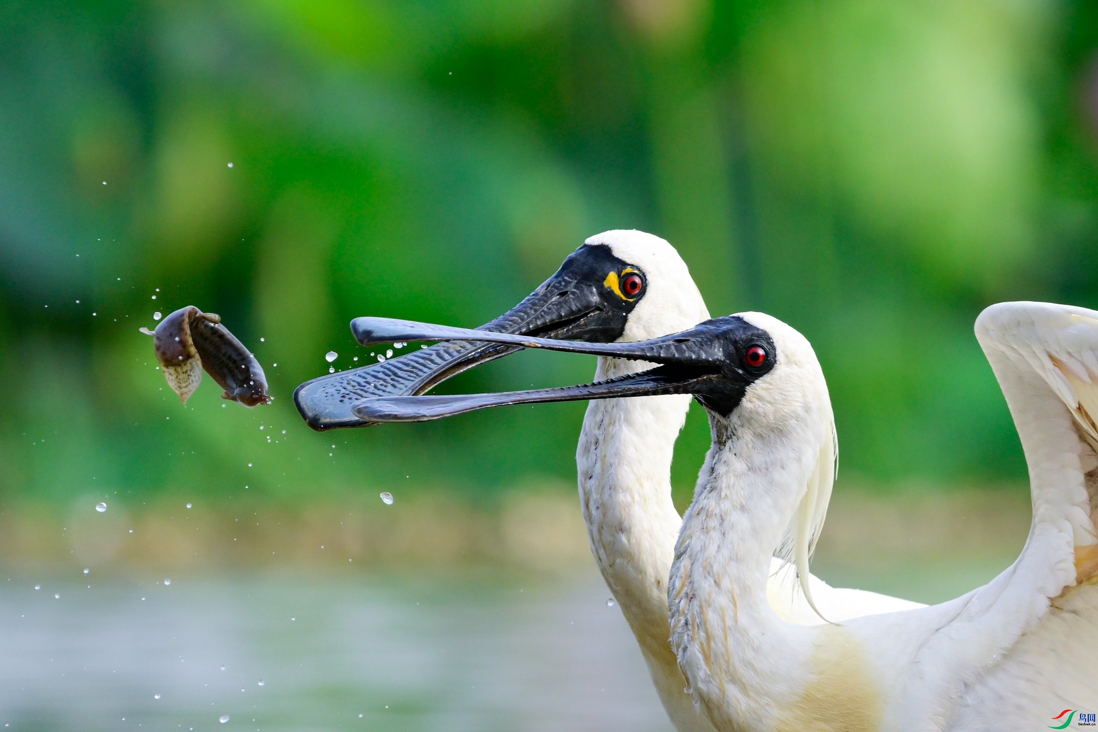 Ŀ��һ��  ���� �չ�����-���� ����.jpg