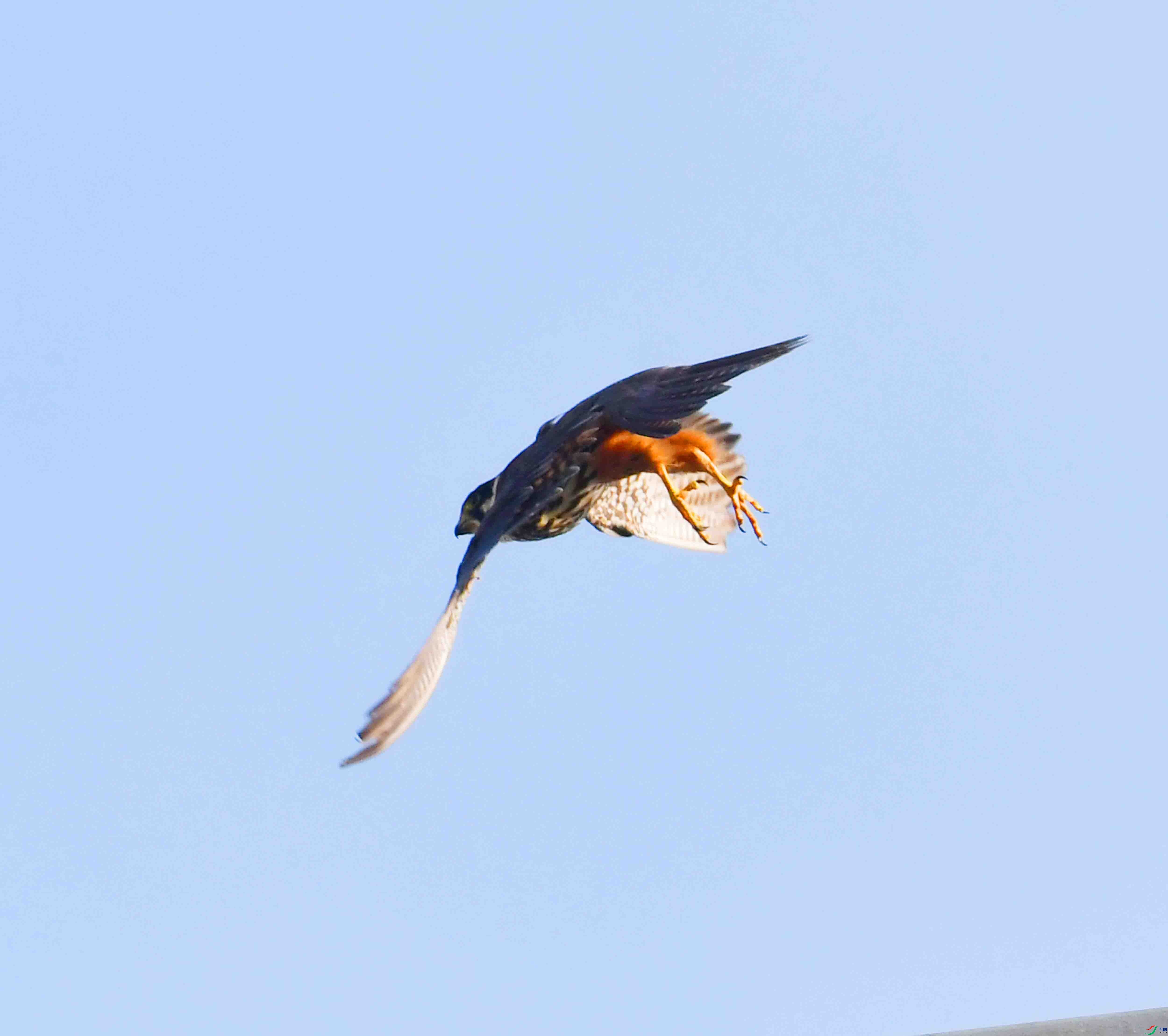 DSC_3594.JPG