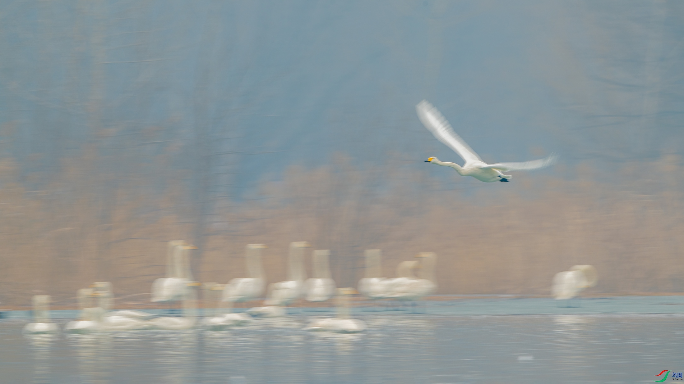 _DSC9046 ����.jpg