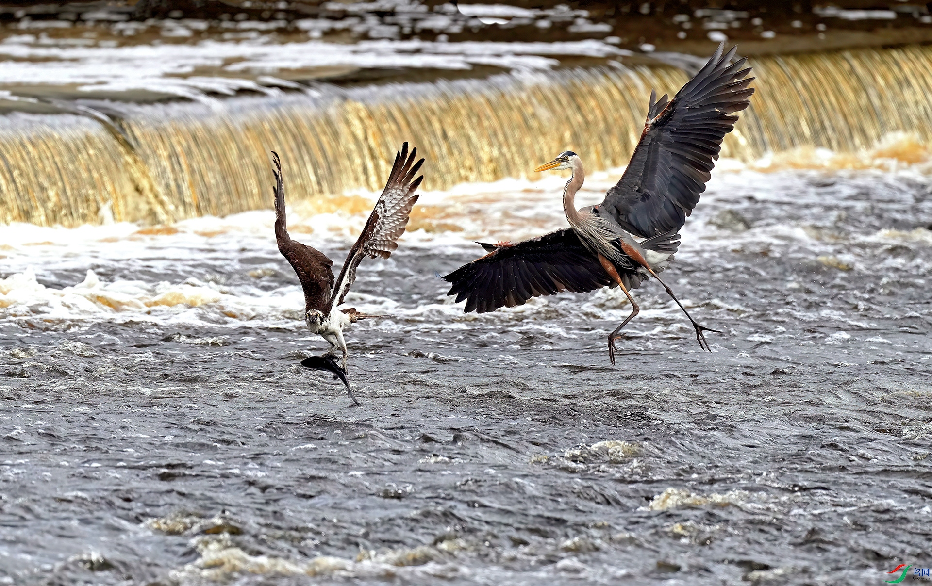 DSC05060--.jpg