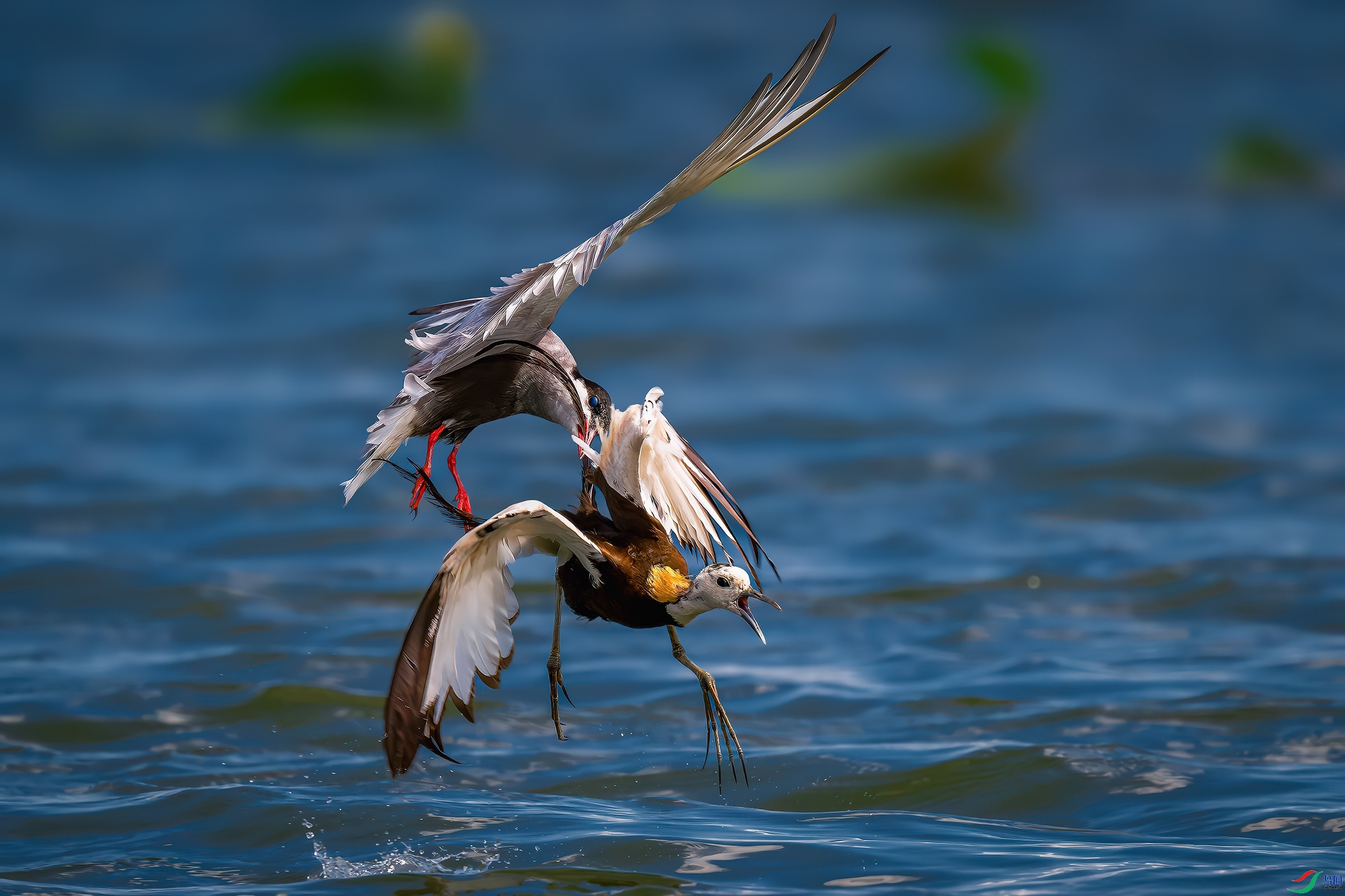 ���� ���� ����Ӱ ����.jpg