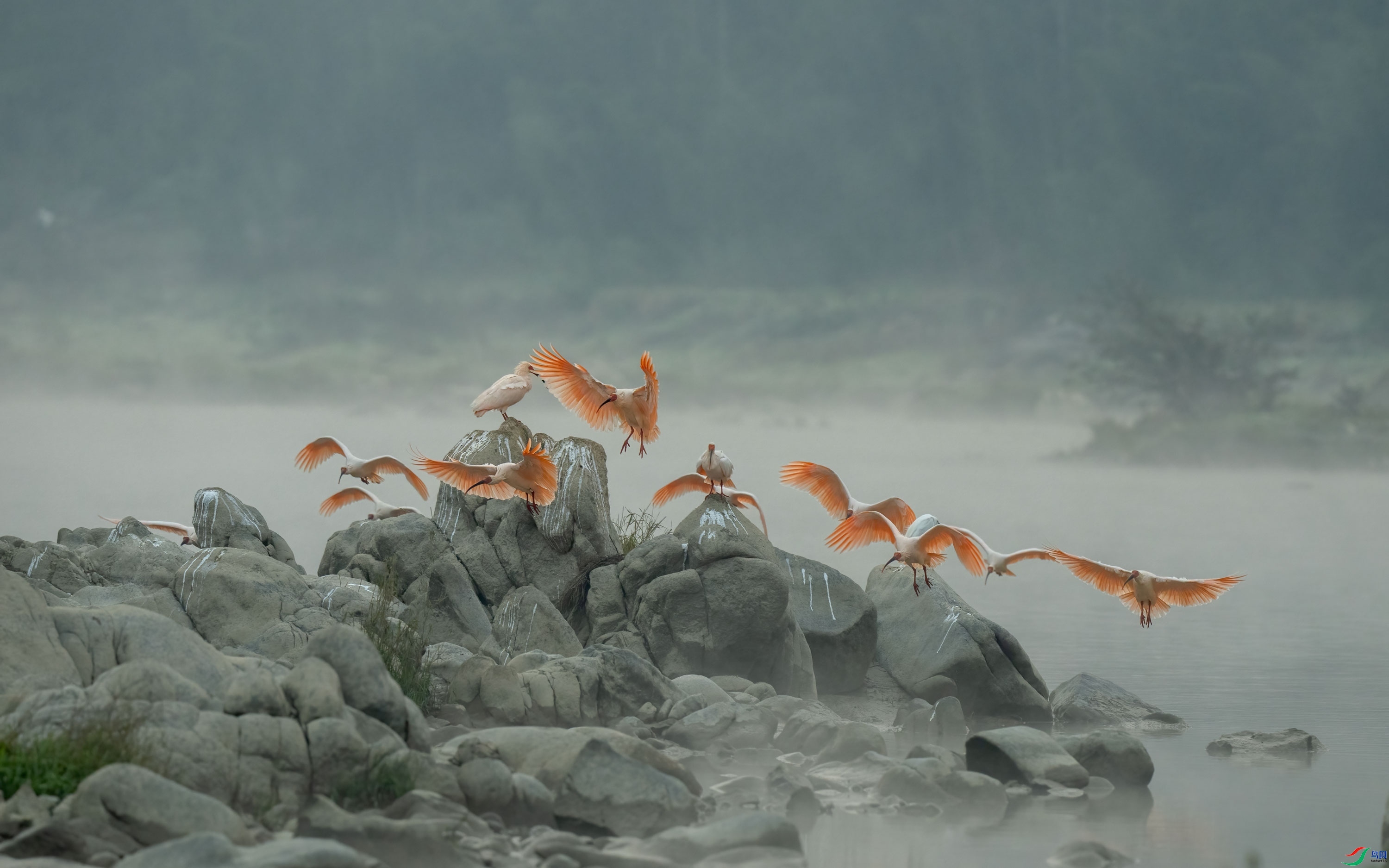 Ϫ�����q  ���� ����.jpg