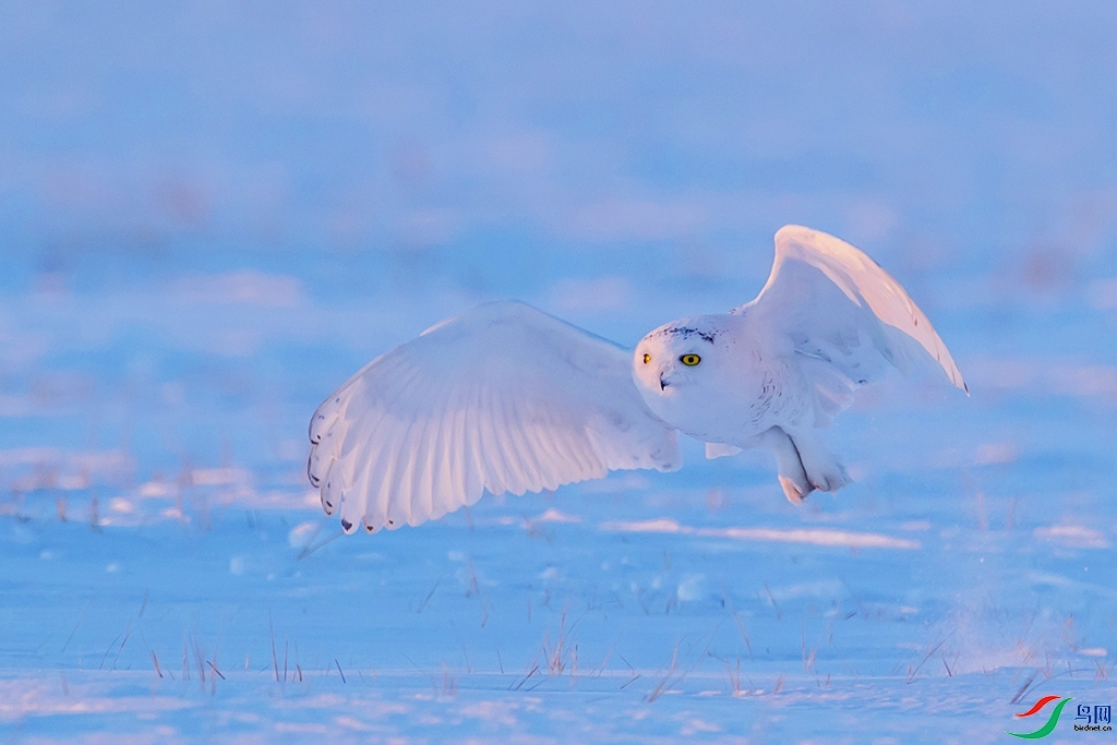 Ѳ�� ���� ���ַ� ����.jpg