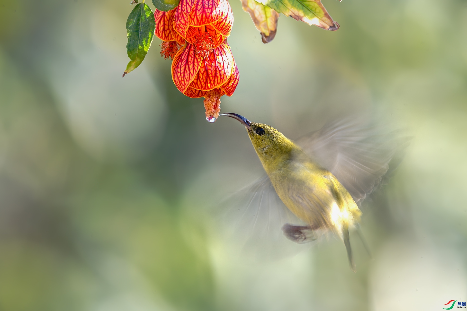 ����  ���� ����ǿ ����.jpg