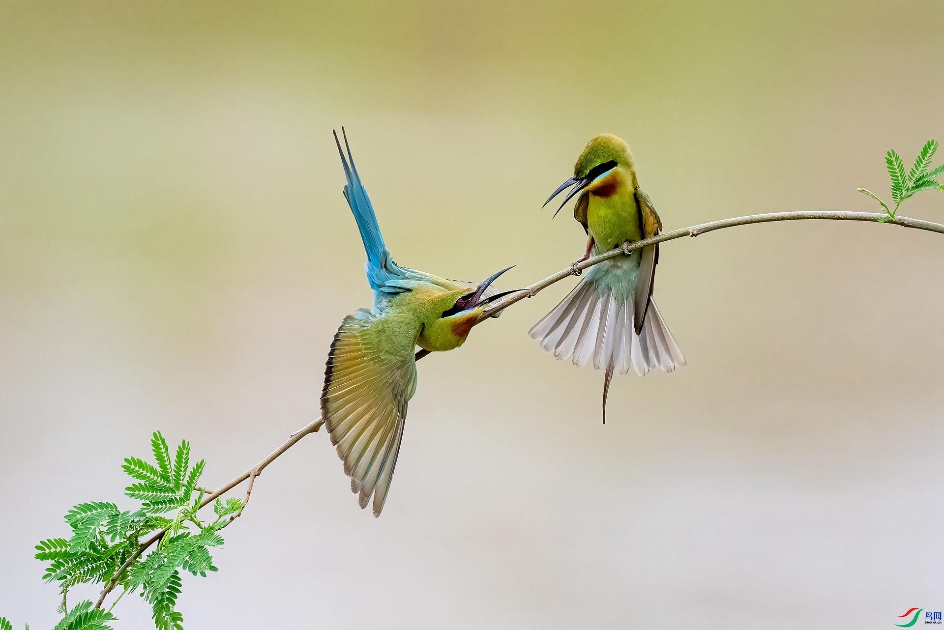 �Կ�  ���� ������ ����.jpg