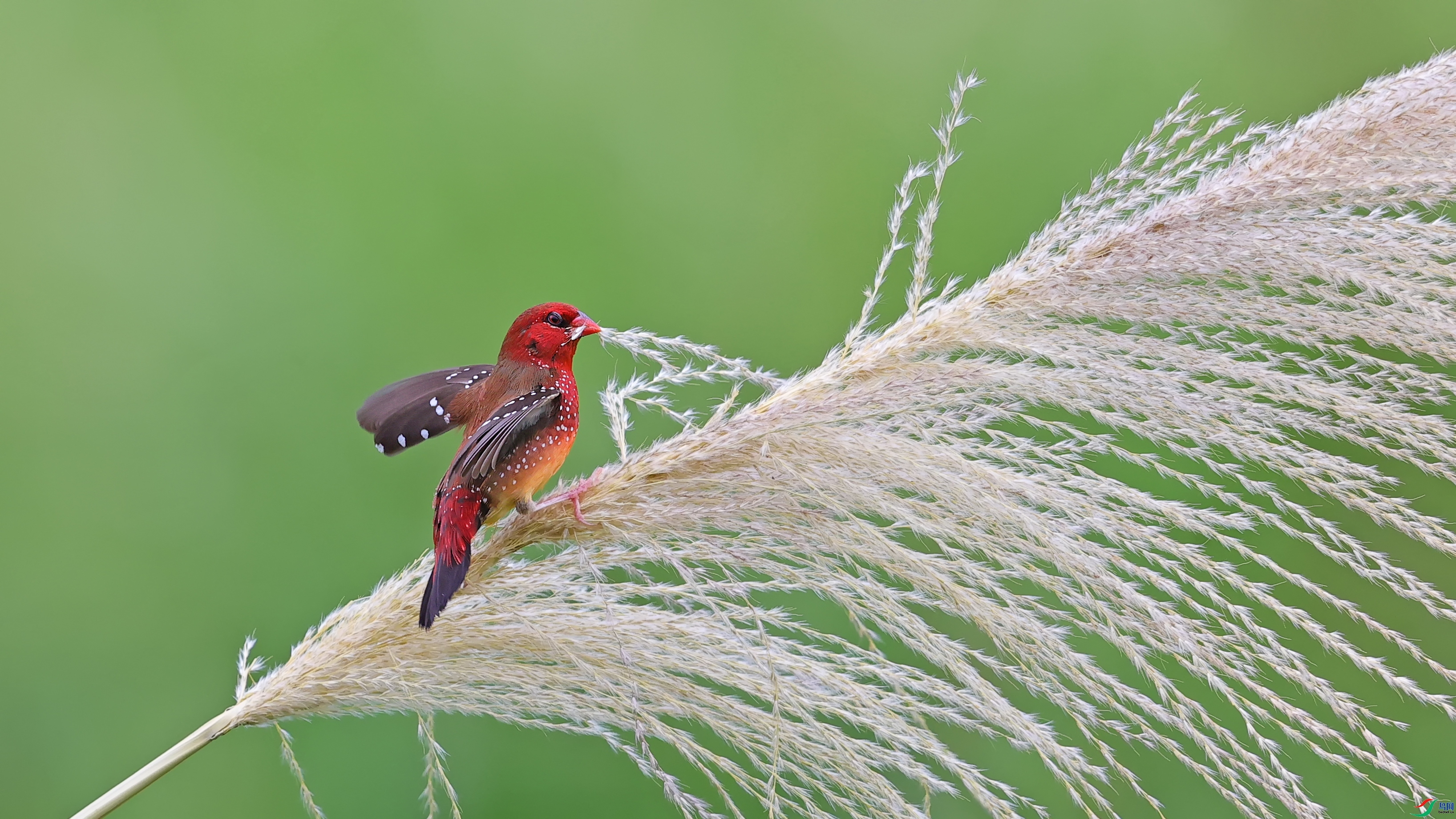 «�����������  ���� ���� ����.jpg