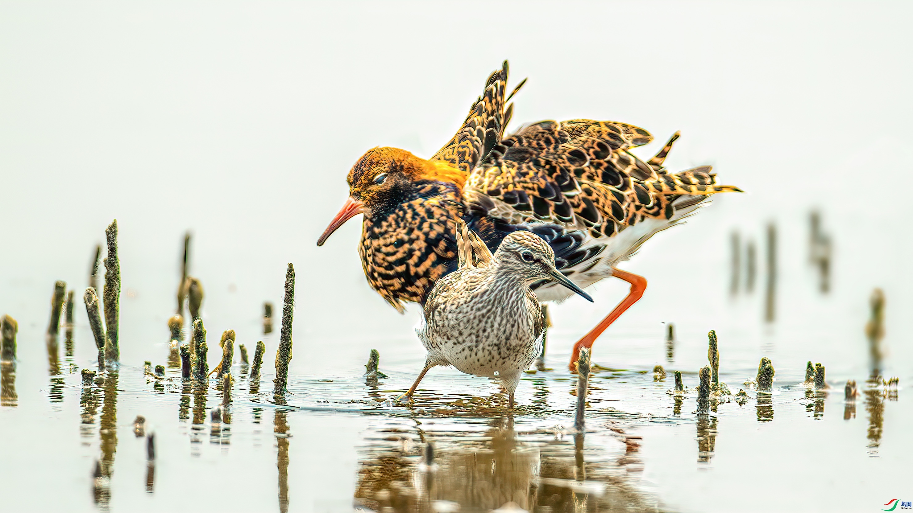 ������  ���� ��ѧ�� ����.jpg