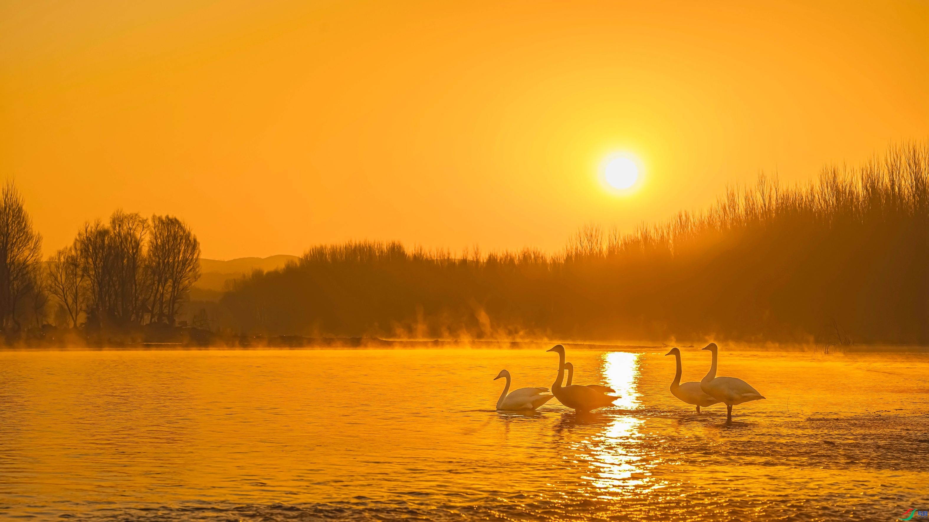 ��ʱ�� ���� �����ү ����.jpg