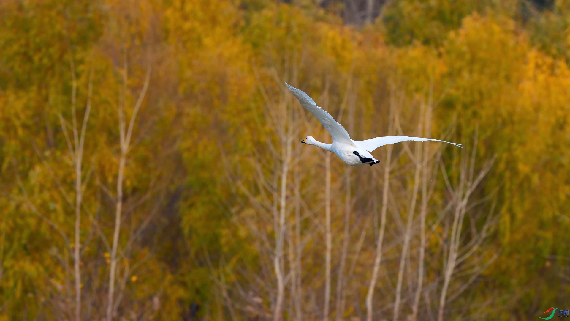 DSC_5004_DxOa.jpg