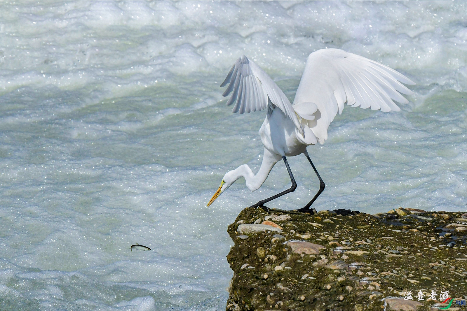 ����Ŀ��