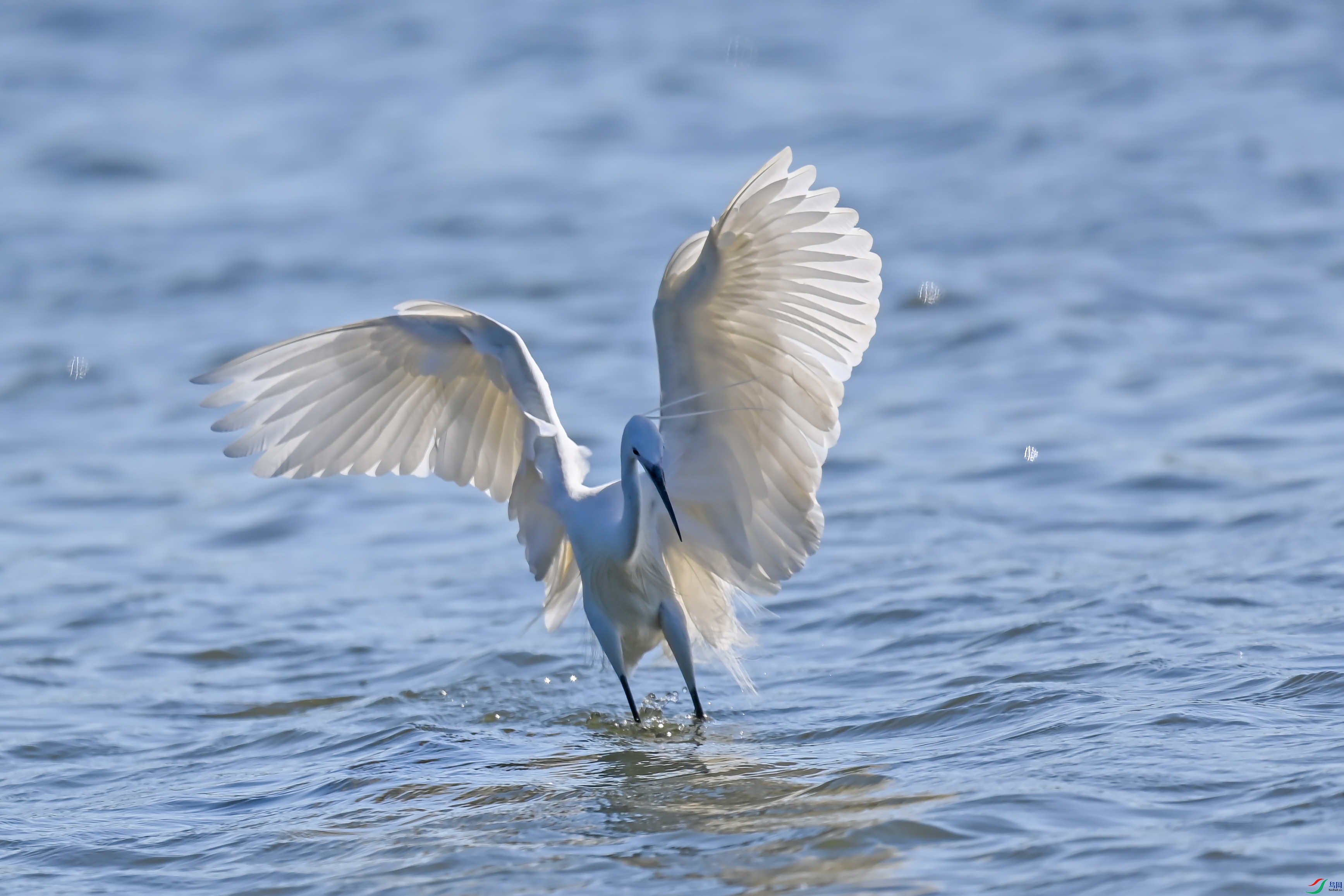 DSC_9719.JPG