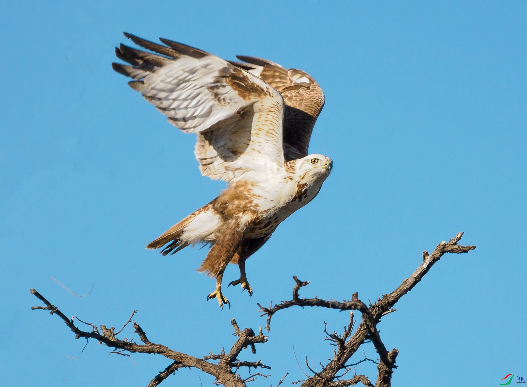 P1060650 --���.jpg