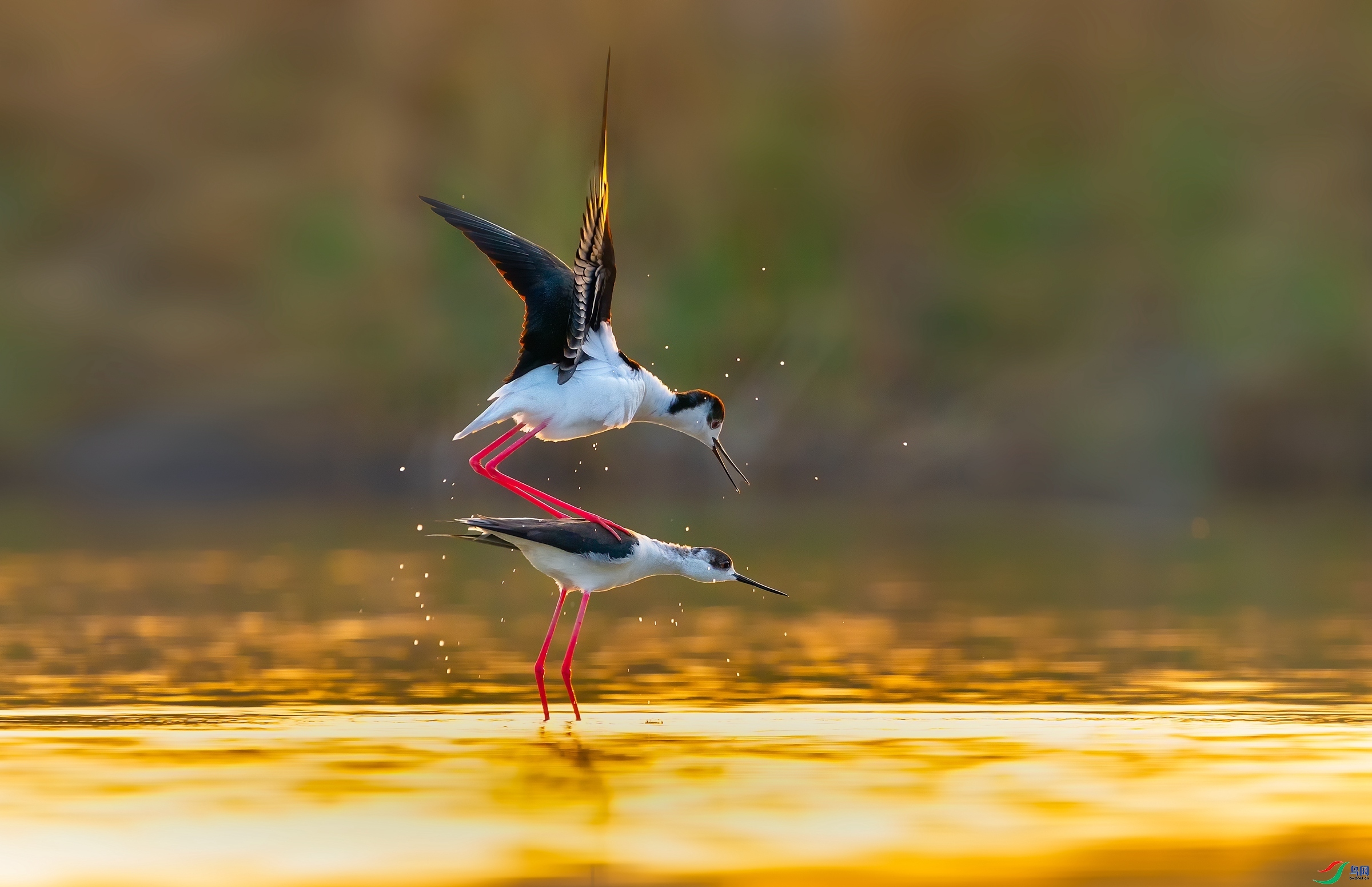 05-������-�ڳ᳤���֡�.jpg