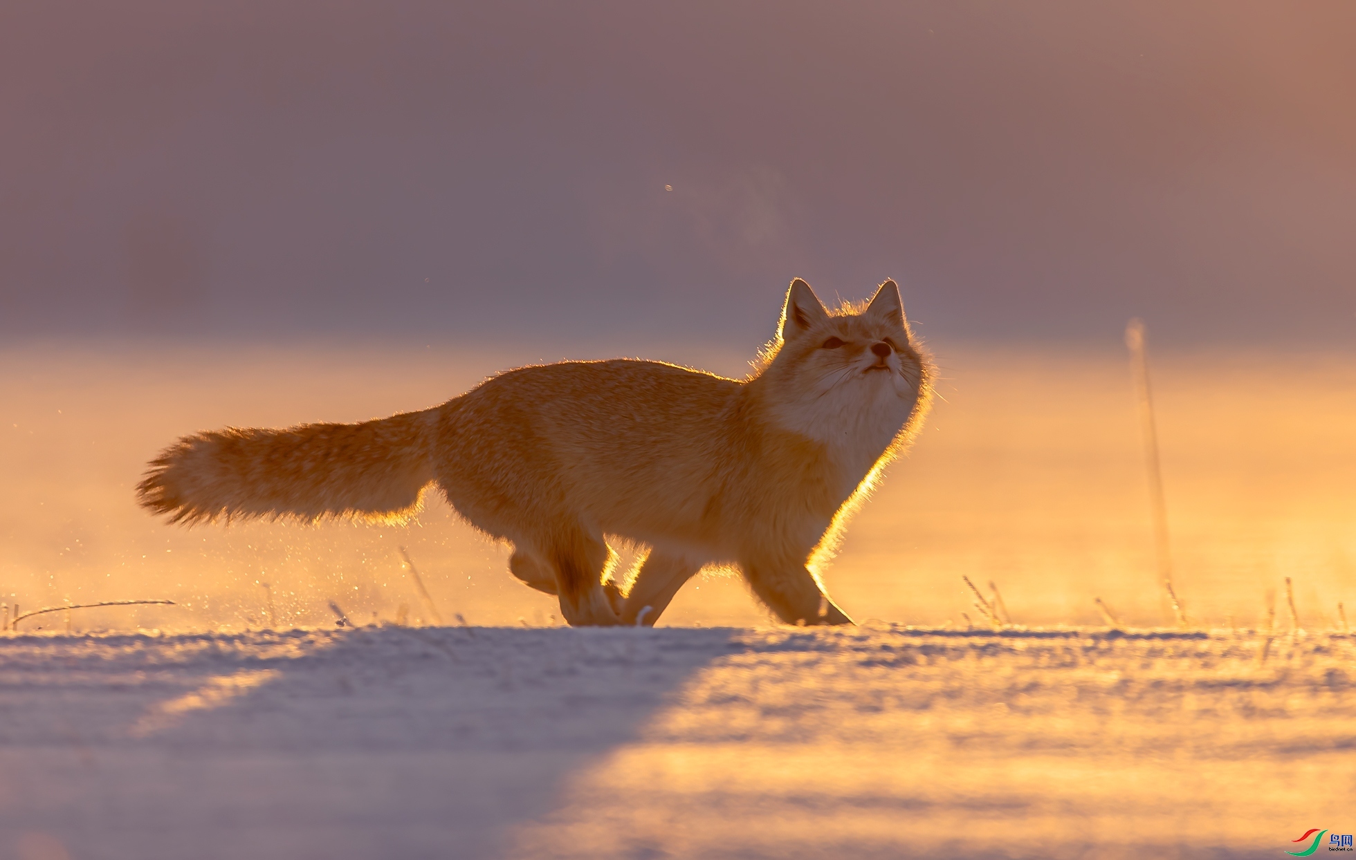 08-����ѩɳ����.jpg