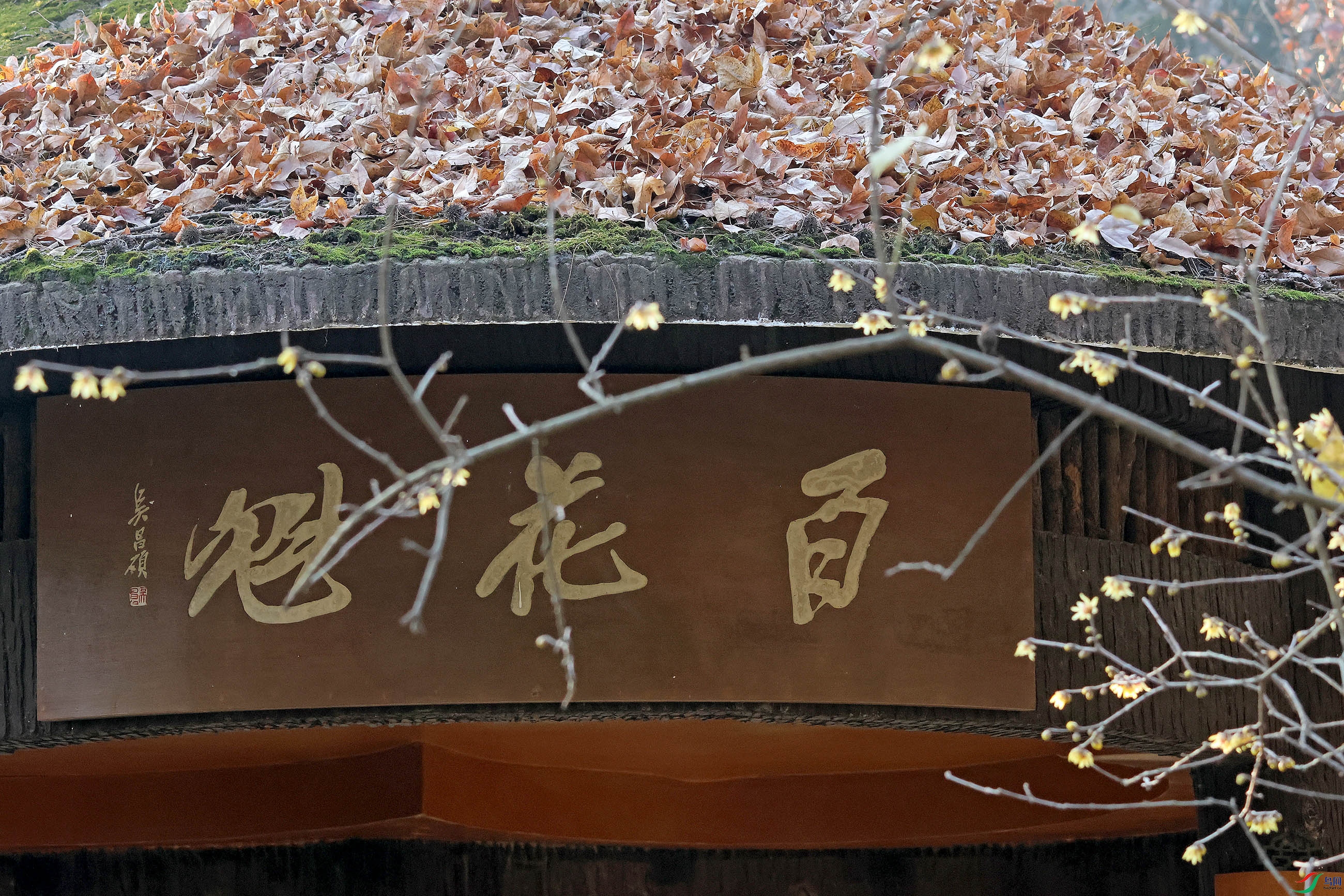 2G9A4122.JPG