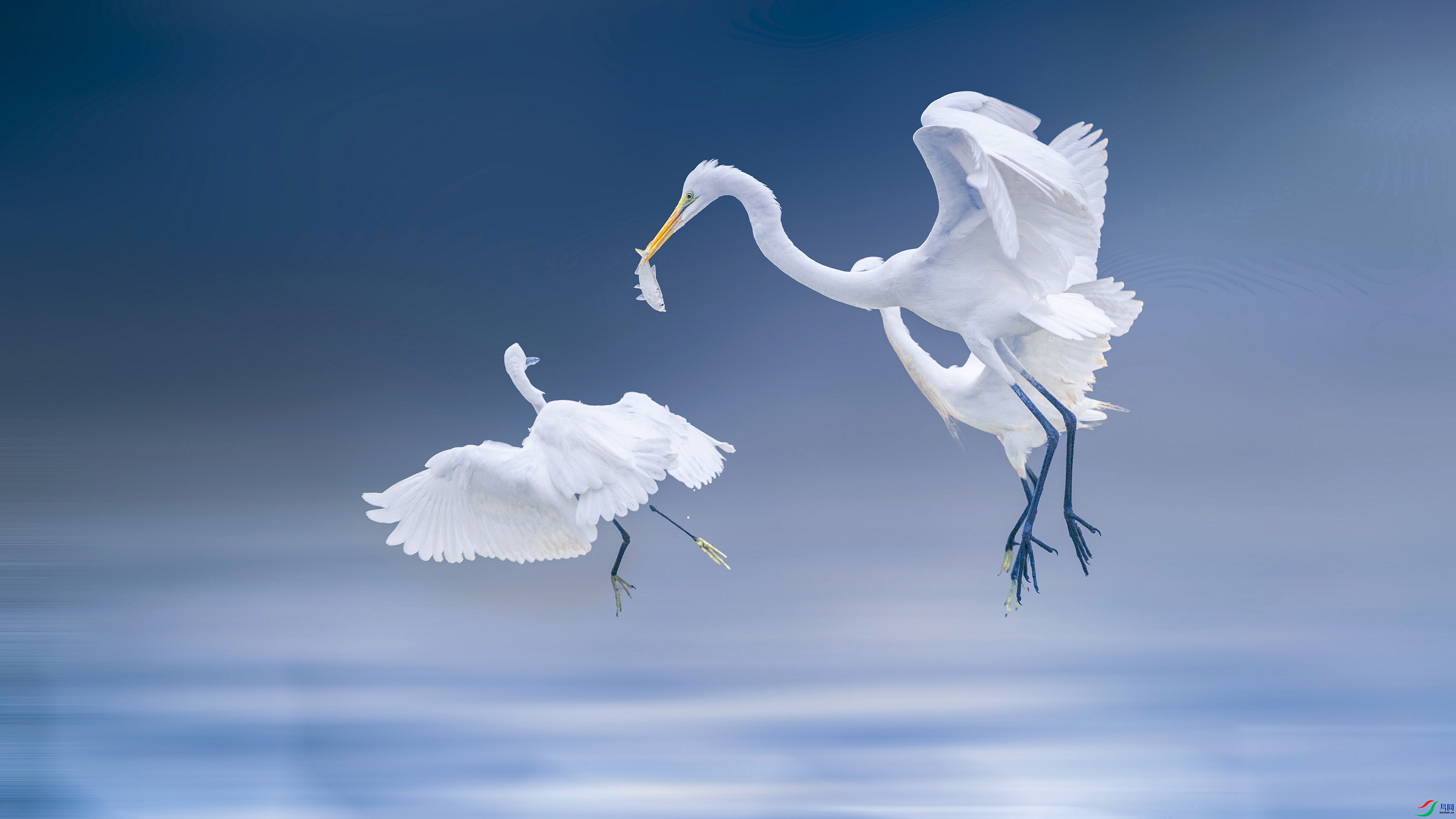 122718b36ks040bjm76za6 ���� 2����.jpg