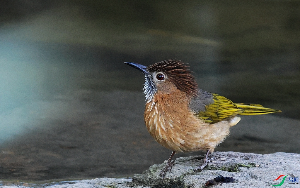 1P3A7342.JPG