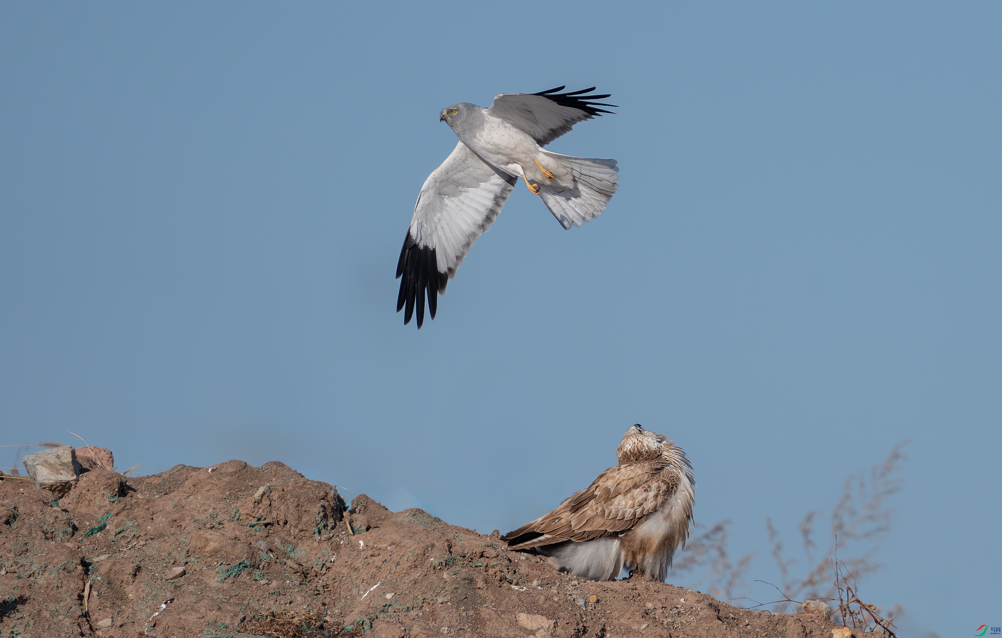 _DSC8887 ����.jpg