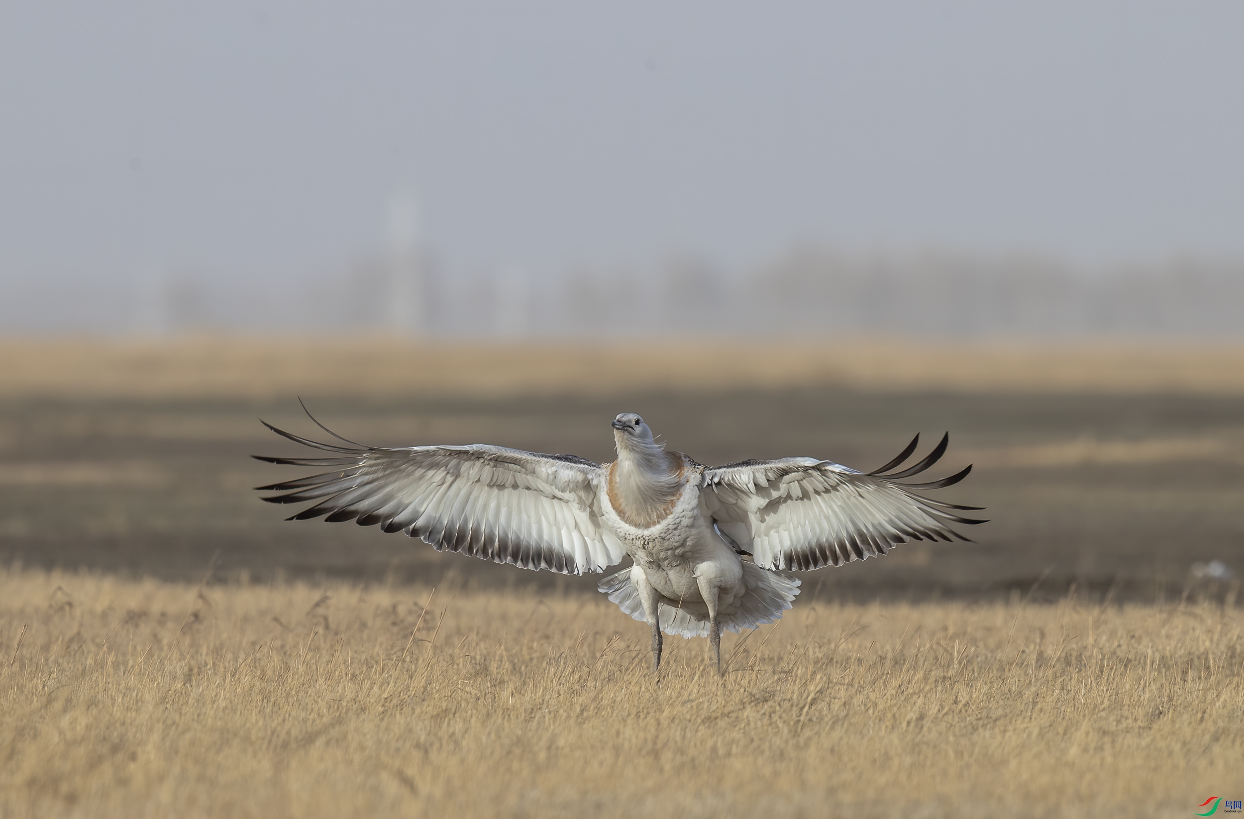 AC3I2537 ����.jpg