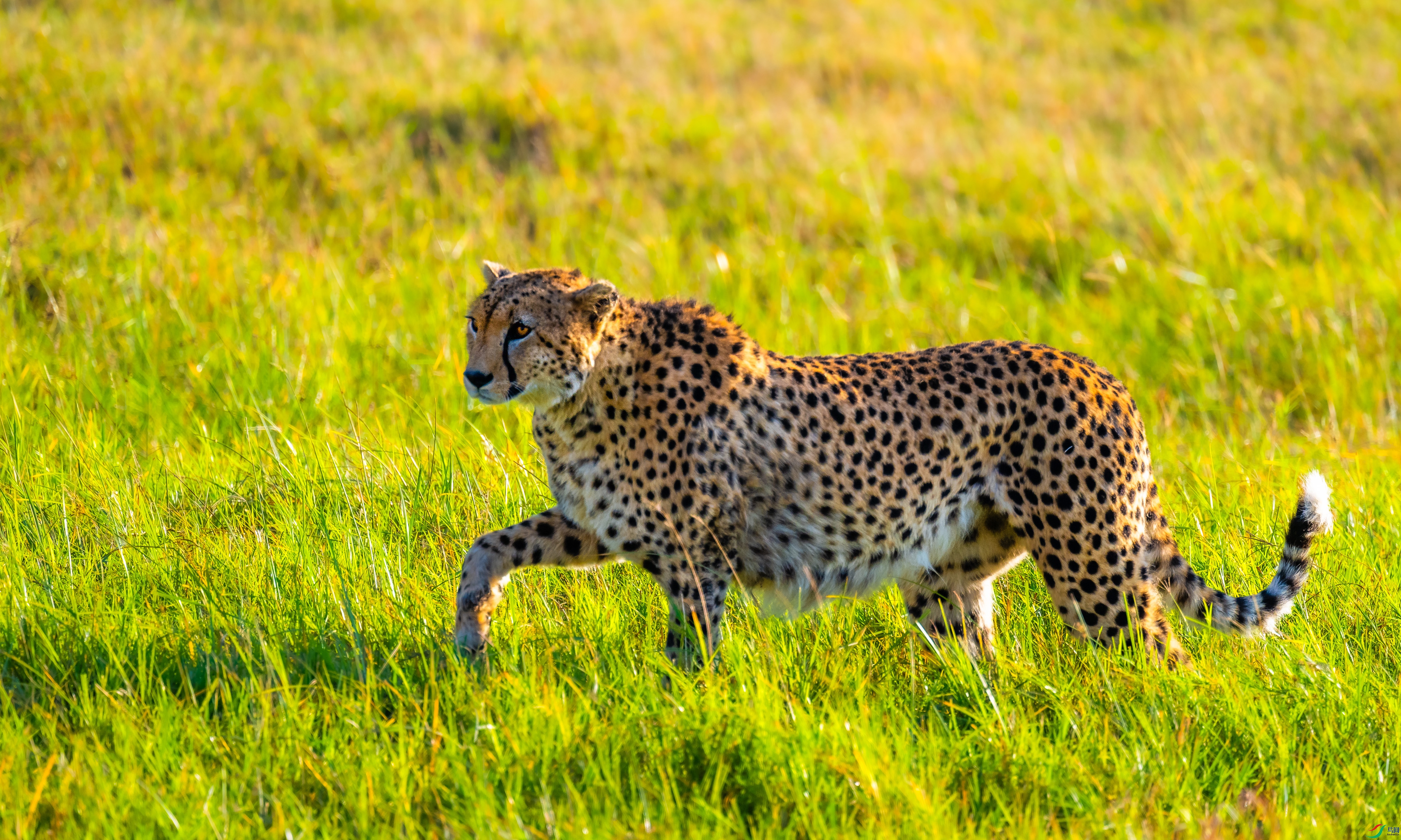 DSC_1446.jpg